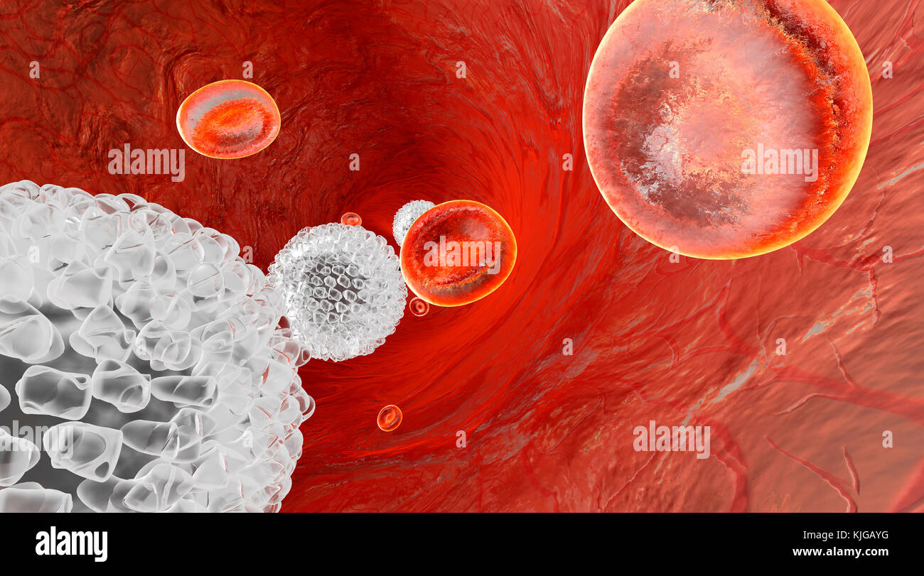 Ilustración 3D prestados de eritrocitos y leucocitos que fluyen en una vena o arteria Foto de stock