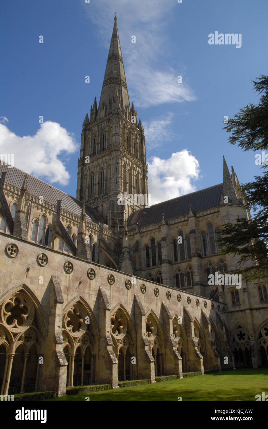 Jardín claustro de la catedral de Salisbury, reino unido Foto de stock