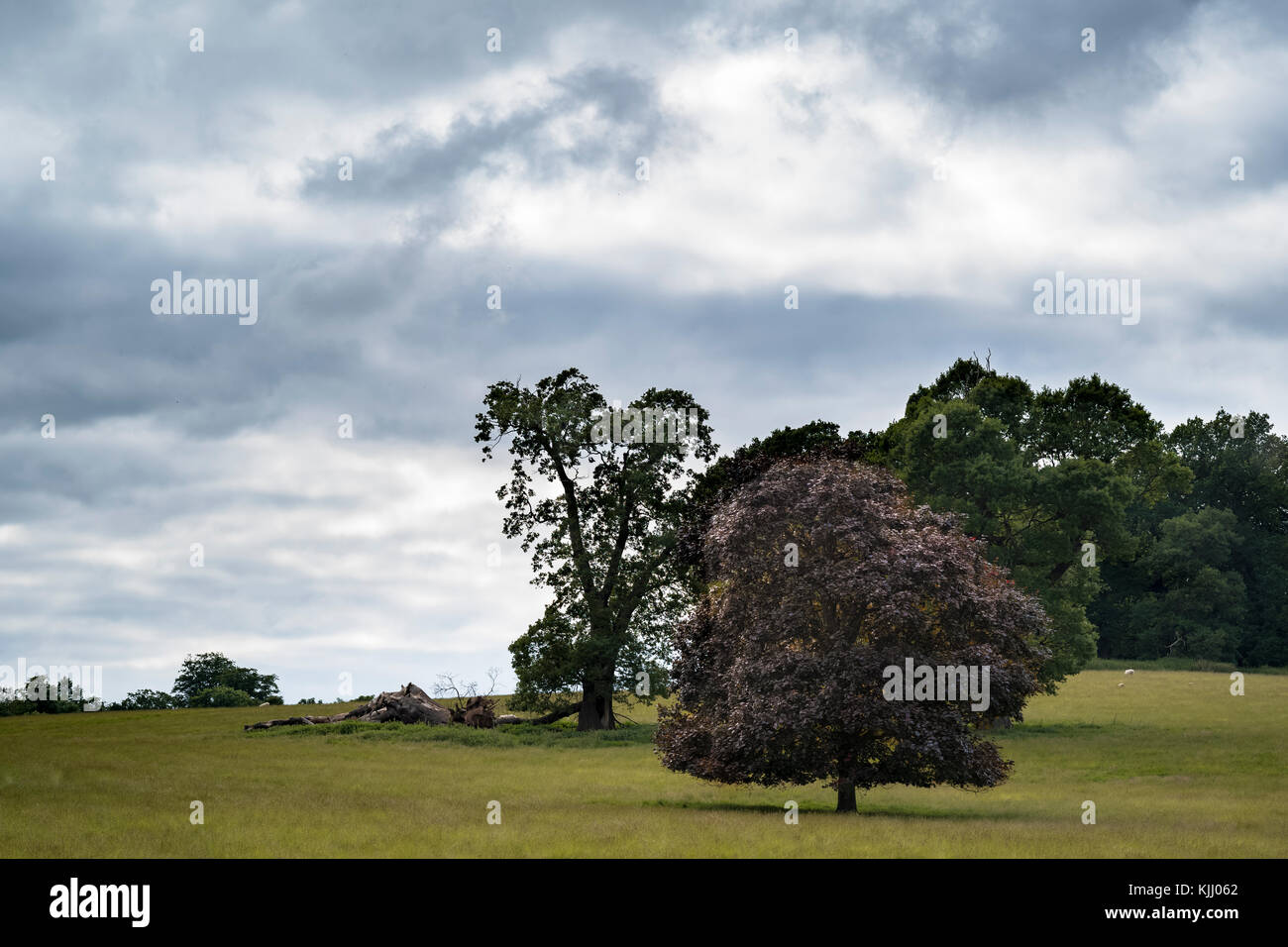 KEDLESTON HALL (1759) Derby Derbyshire, Reino Unido Foto de stock