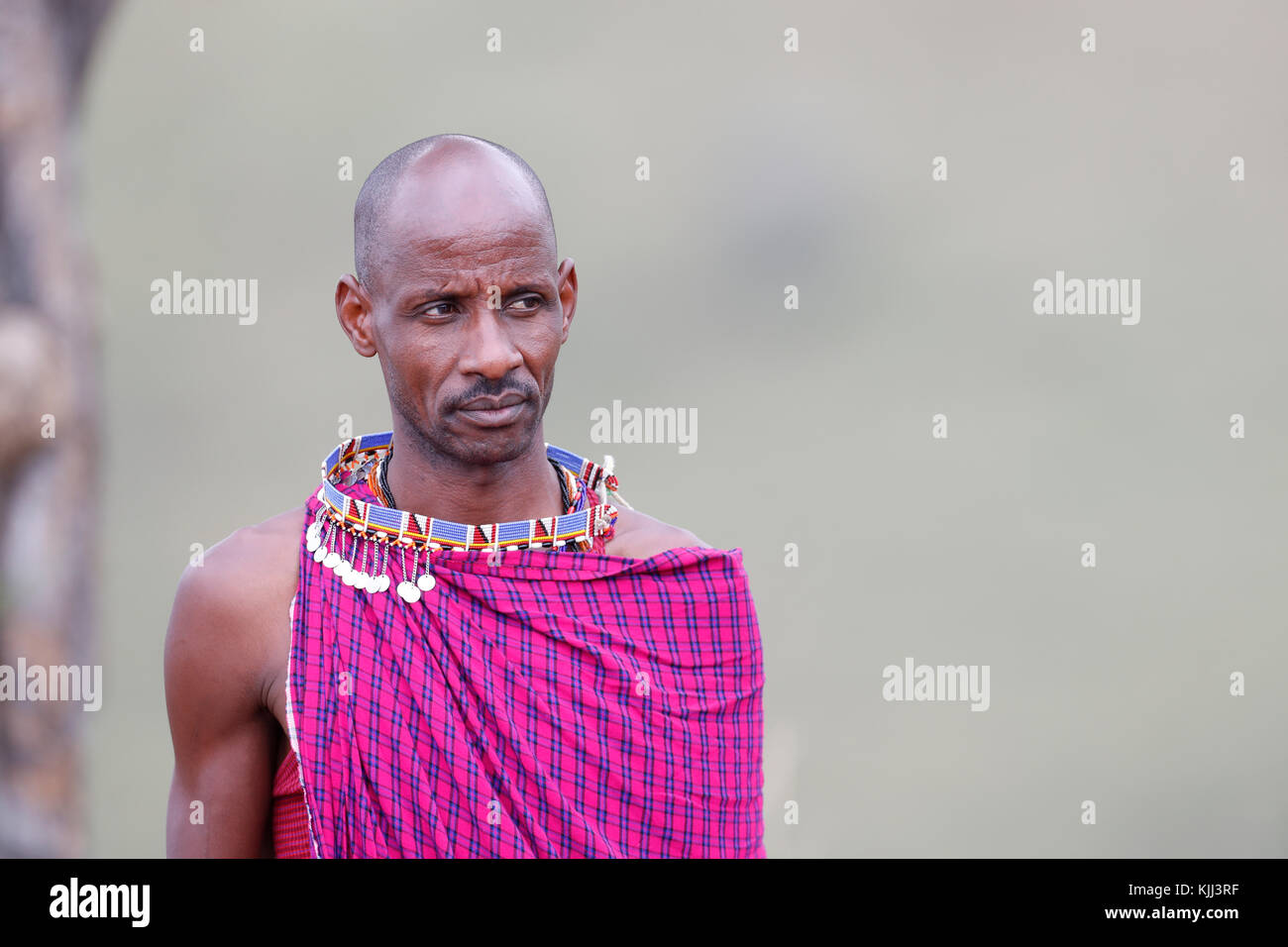 Hombre Masai vistiendo coloridos trajes tradicionales. Retrato. La reserva Masai Mara. Kenya. Foto de stock