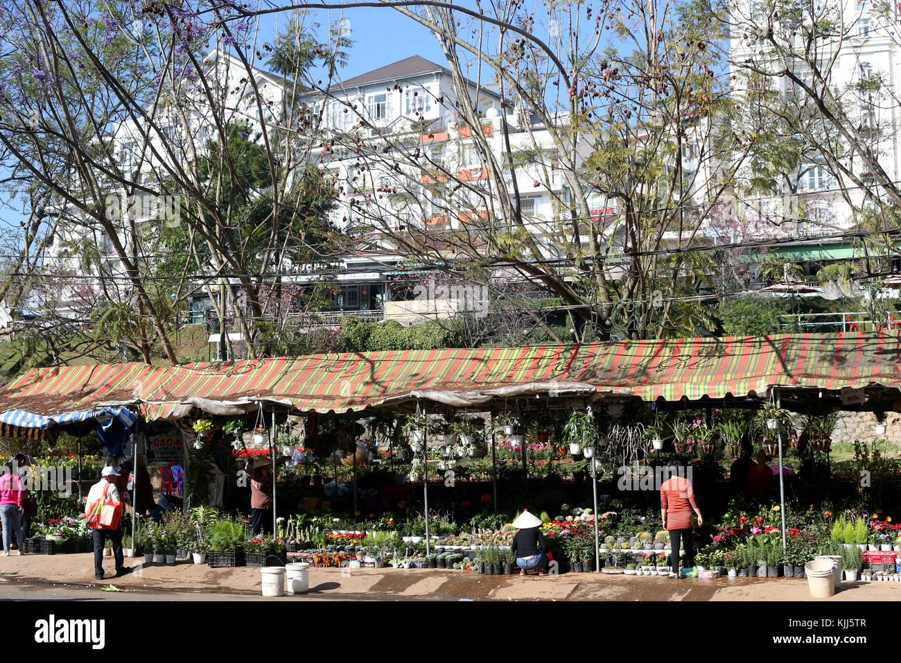 Dalat mercado de flores. Dalat. Vietnam. Foto de stock