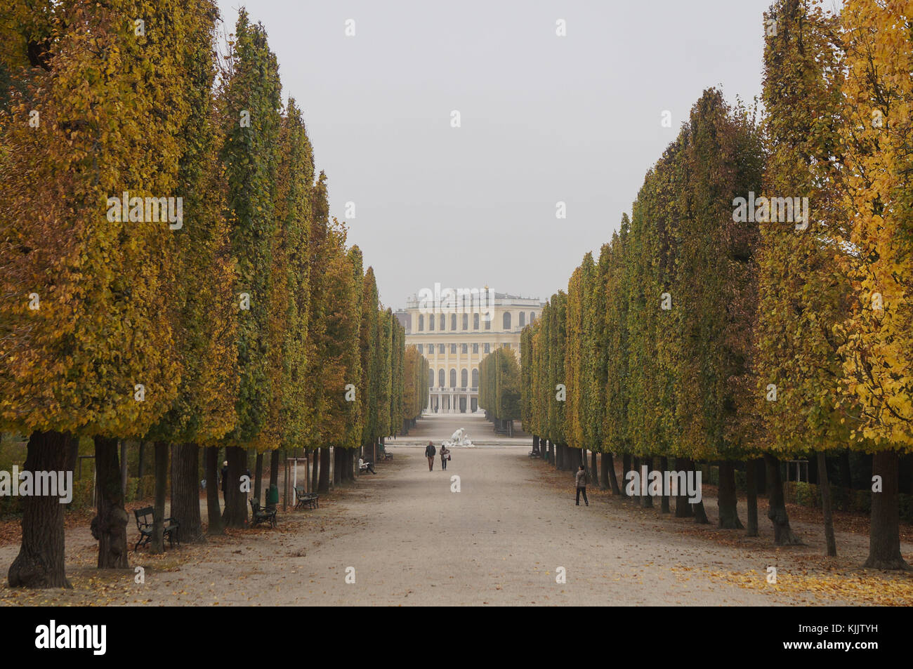 Viena, Austria - 17.10.2017: Turistas preguntando los jardines del palacio de Schonbrunn en otoño Foto de stock