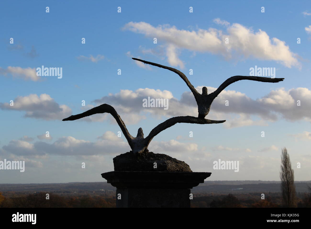 Pájaros en vuelo estatua mirando el paisaje Foto de stock