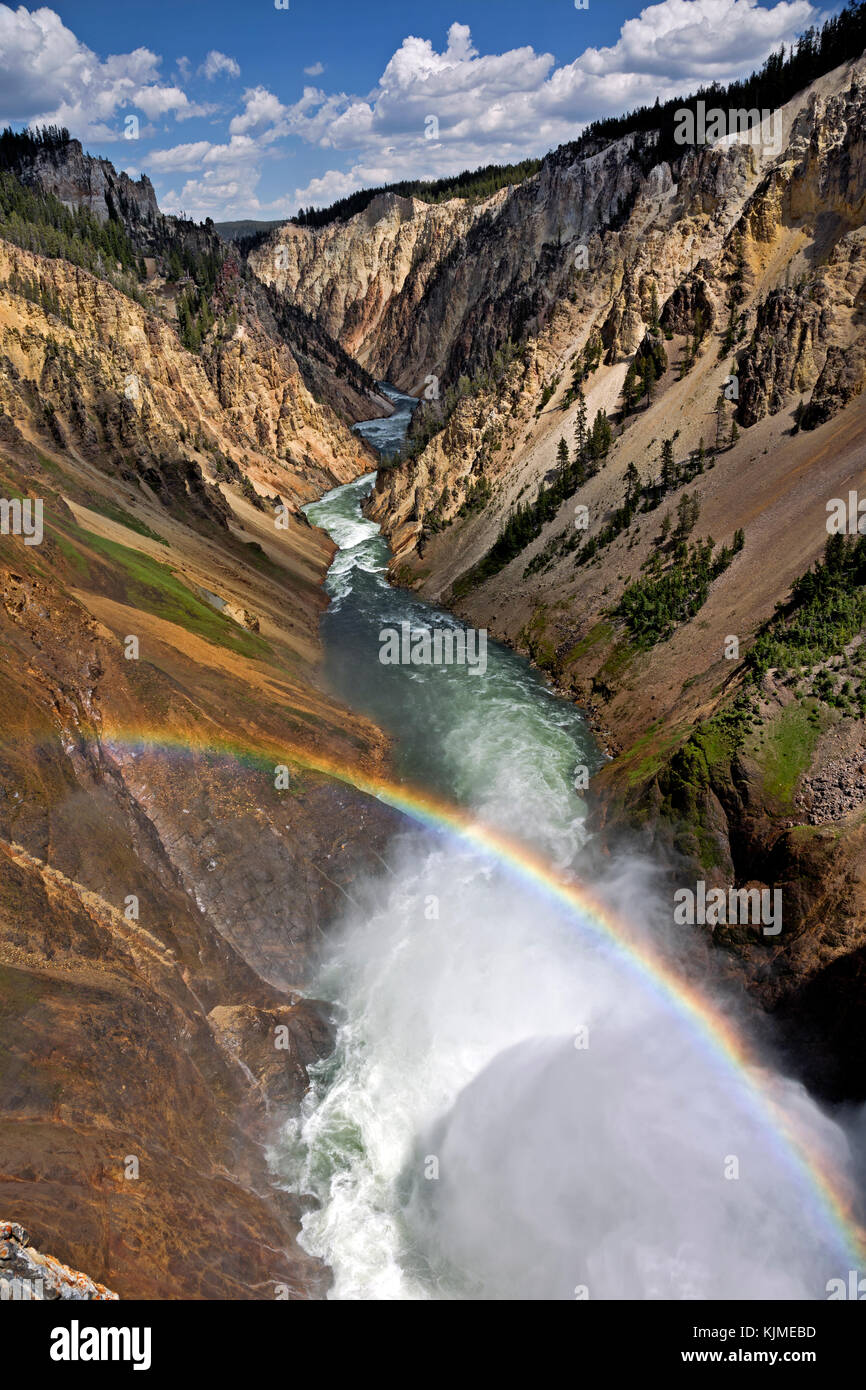Wy02648-00...Wyoming - vista del río Yellowstone desde el borde de la parte superior cae mirador en la zona del cañón del parque nacional Yellowstone. Foto de stock