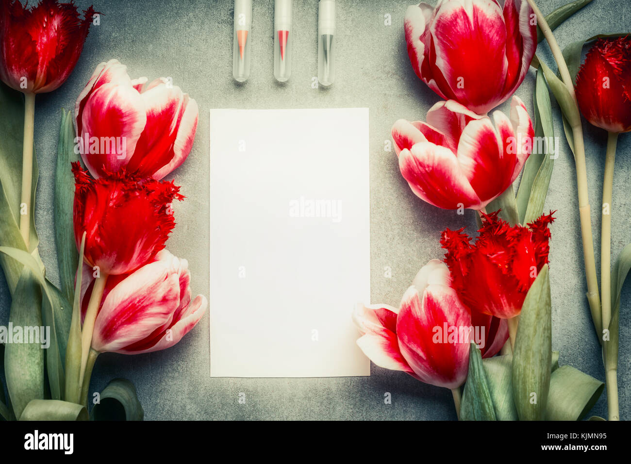 Tarjeta en blanco con lápiz y tulipanes flores, vista superior, bastidor.  abstracto concepto de saludo Fotografía de stock - Alamy