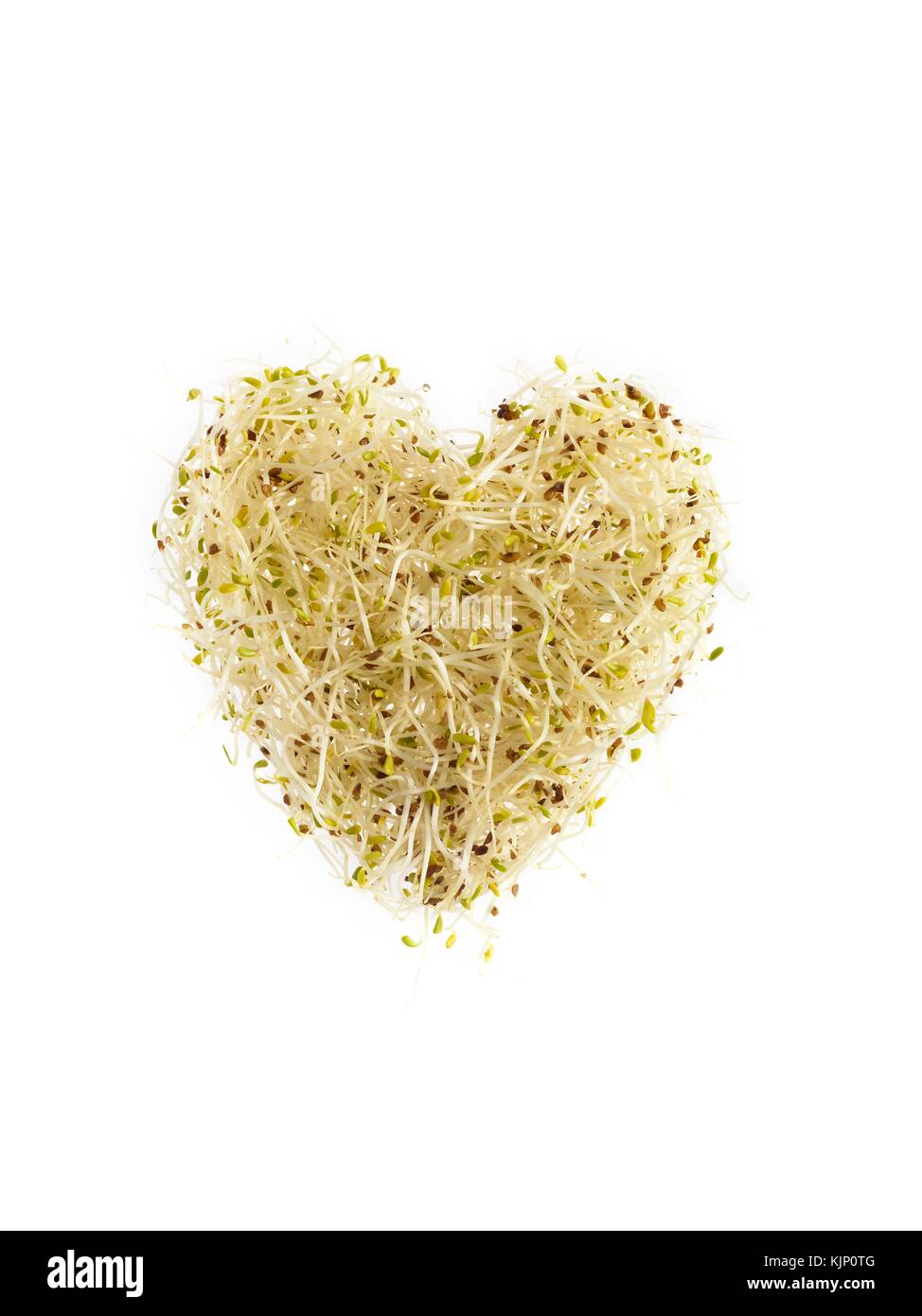 Brotando de la alfalfa, con forma de corazón, sobre fondo blanco. Foto de stock