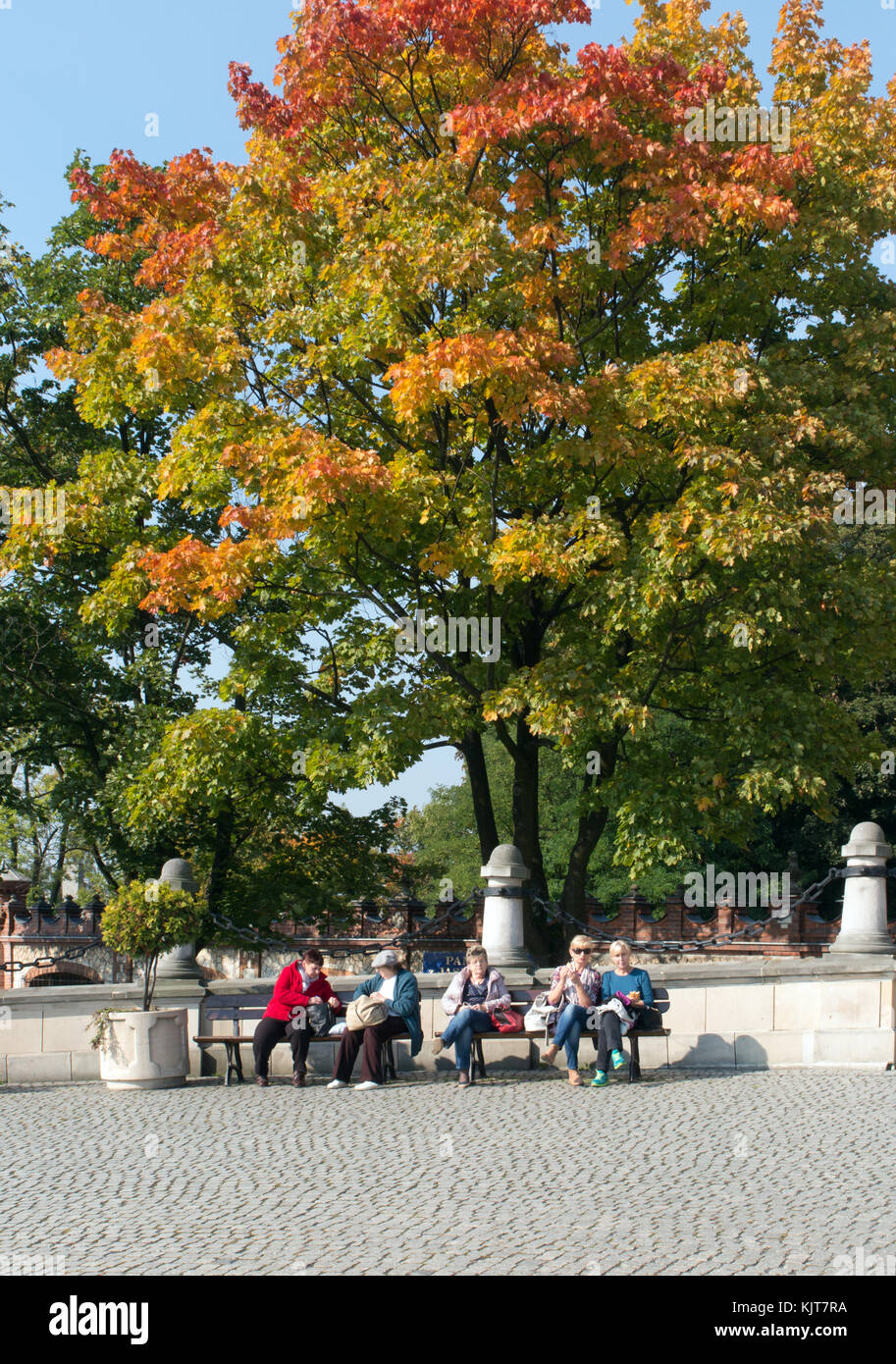 Grupo de mujeres hablar sentado en una banca del parque debajo de árboles en sus colores de otoño a la entrada del monasterio de Jesna Gora en Czestochowa Foto de stock