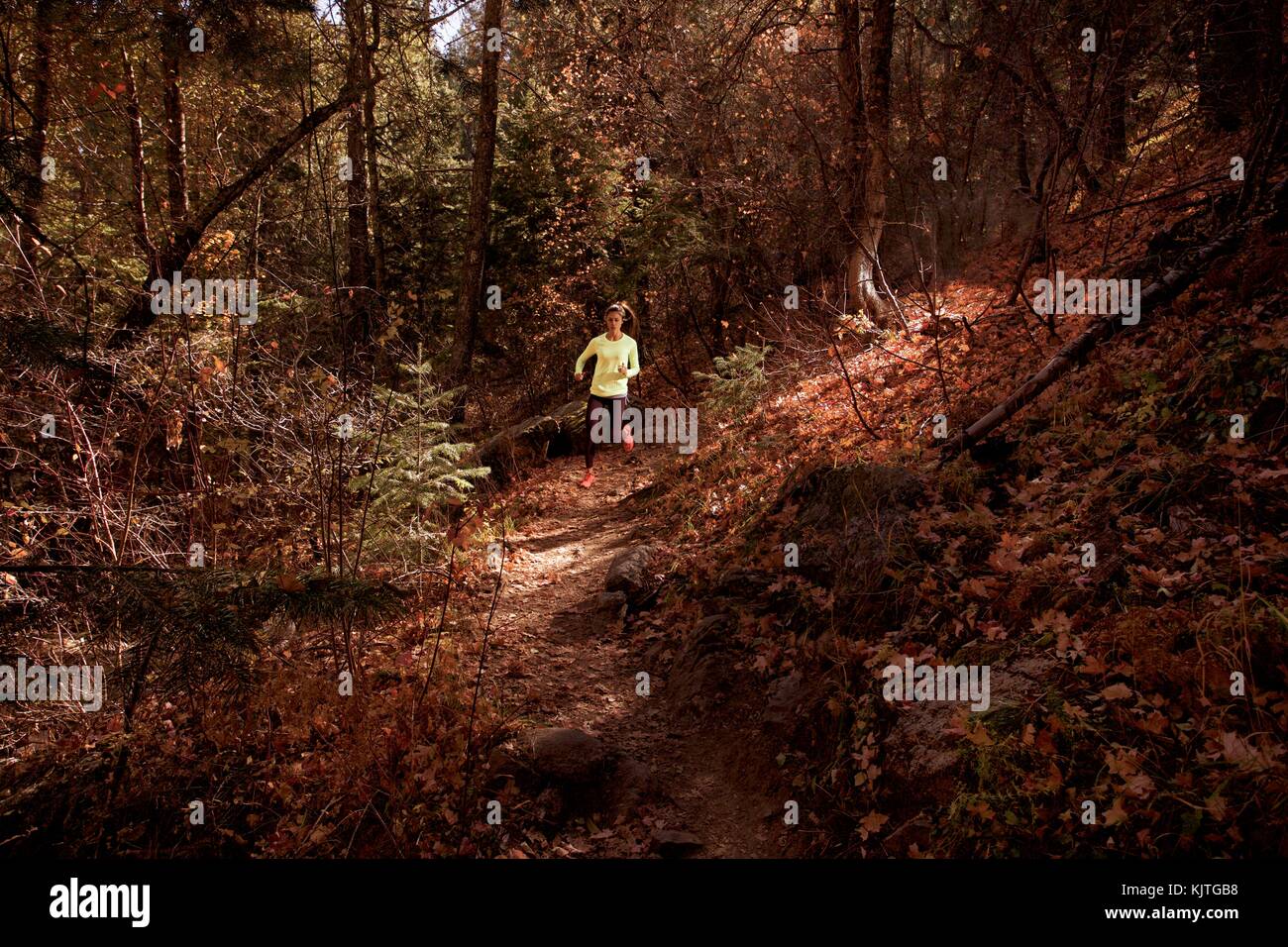 Trail running en el otoño Foto de stock