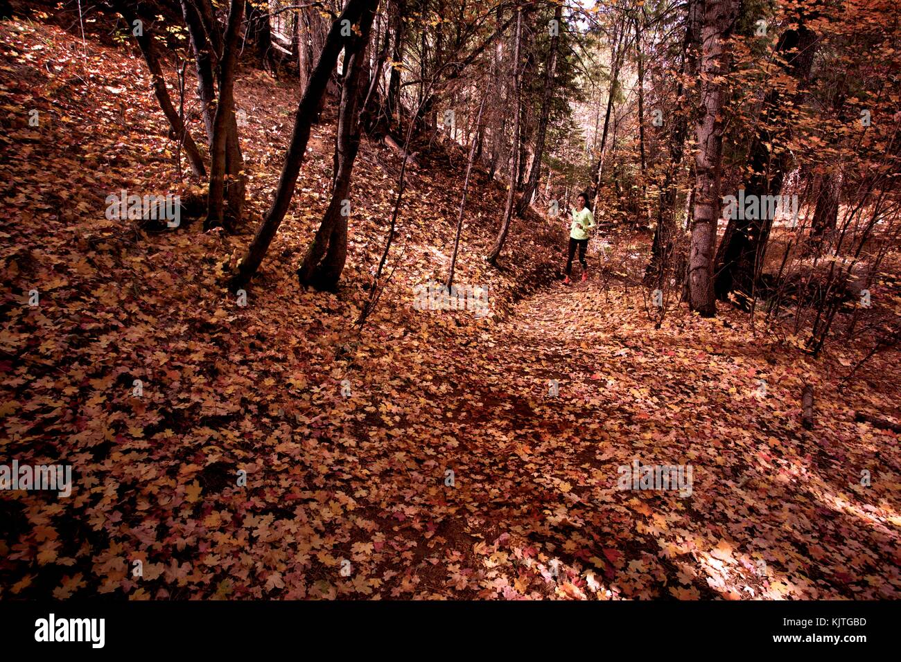 Trail running en el otoño Foto de stock
