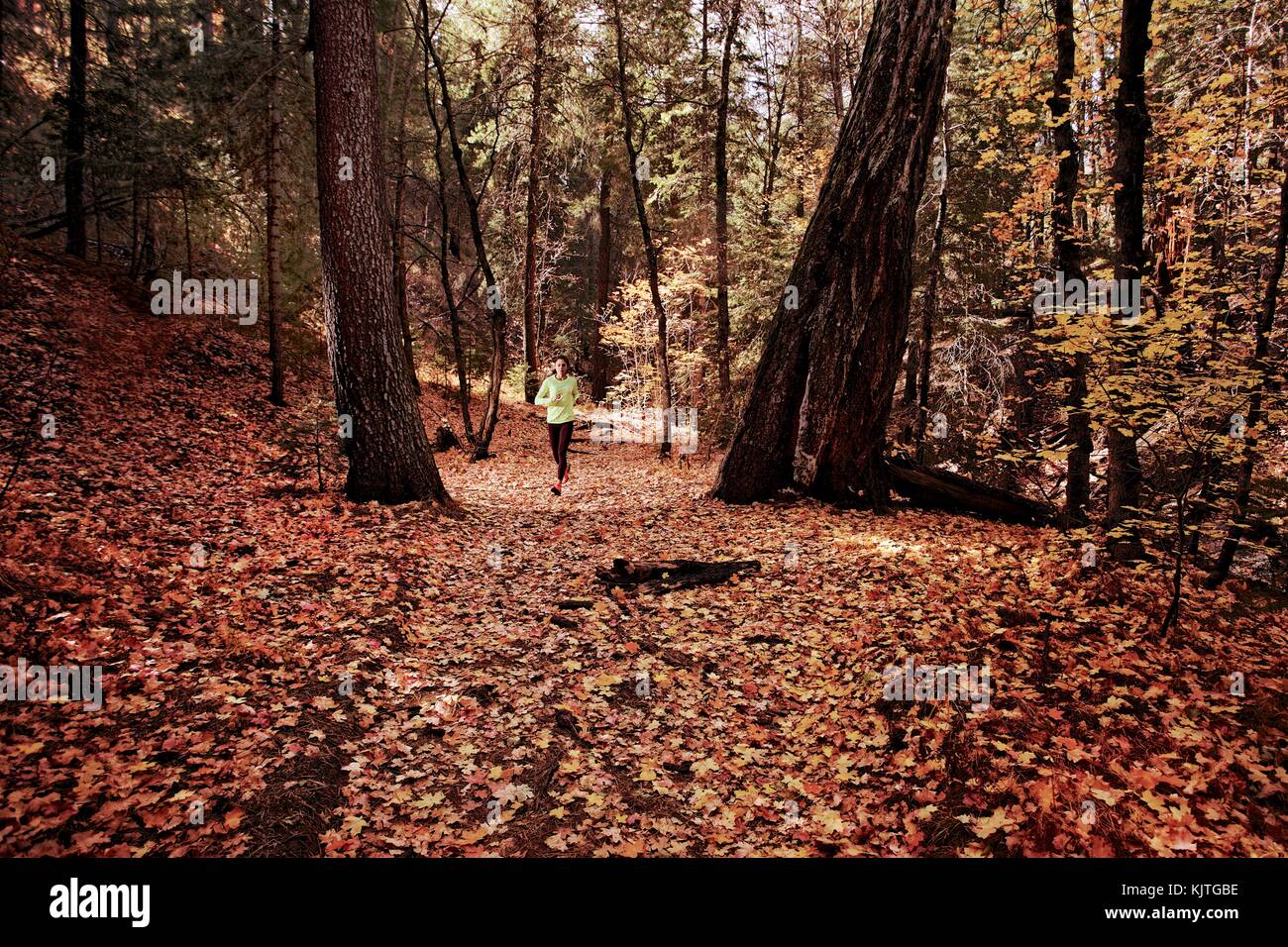 Trail running en el otoño Foto de stock