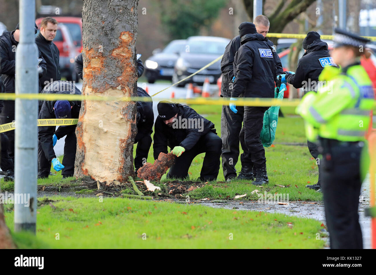 Realizar una búsqueda de la policía en la escena de un accidente de