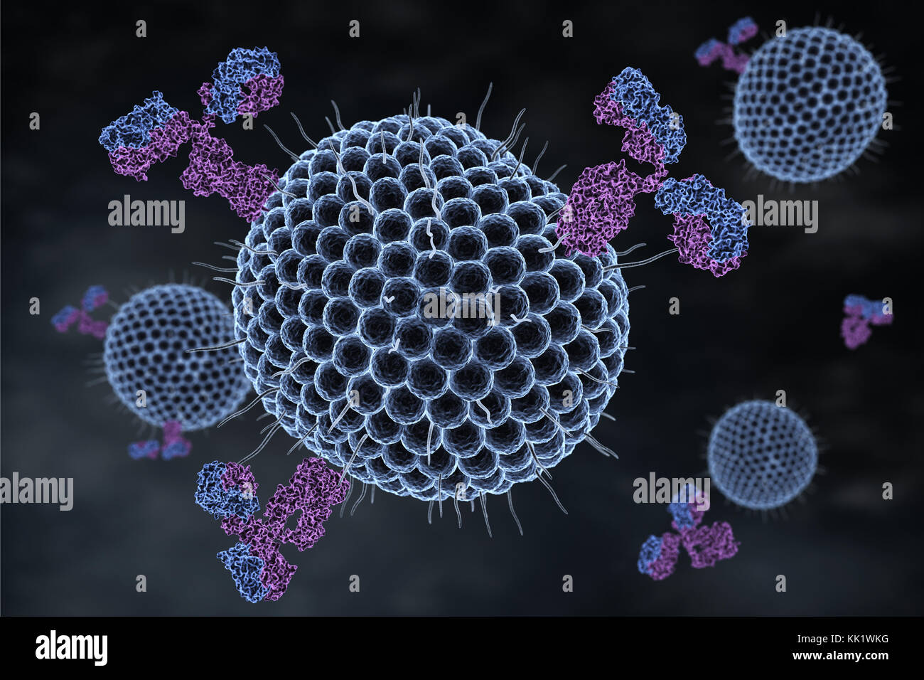 Los virus del herpes y anticuerpos. Ilustración 3d Foto de stock