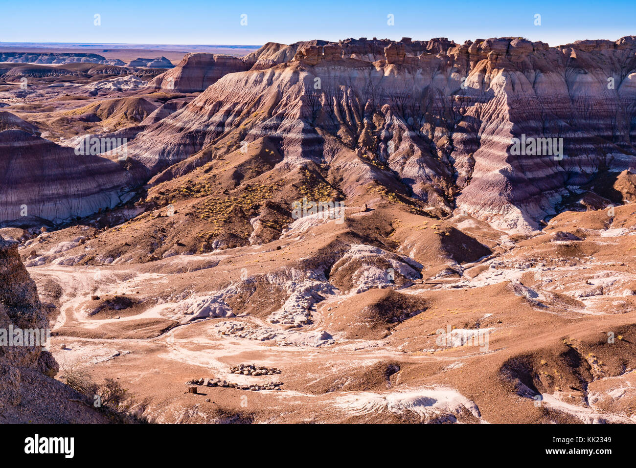 Increíbles formaciones geológicas en capas en el Parque Nacional del Bosque Petrificado en Arizona Foto de stock