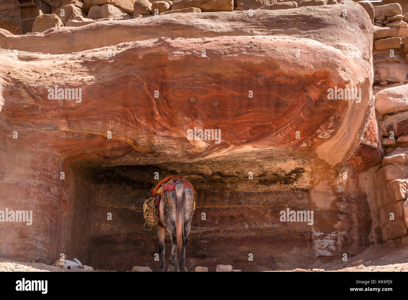 Burro descansando en la sombra de la piedra arenisca rosa tallado Nabataean tumba, Petra, Jordania, Oriente Medio Foto de stock