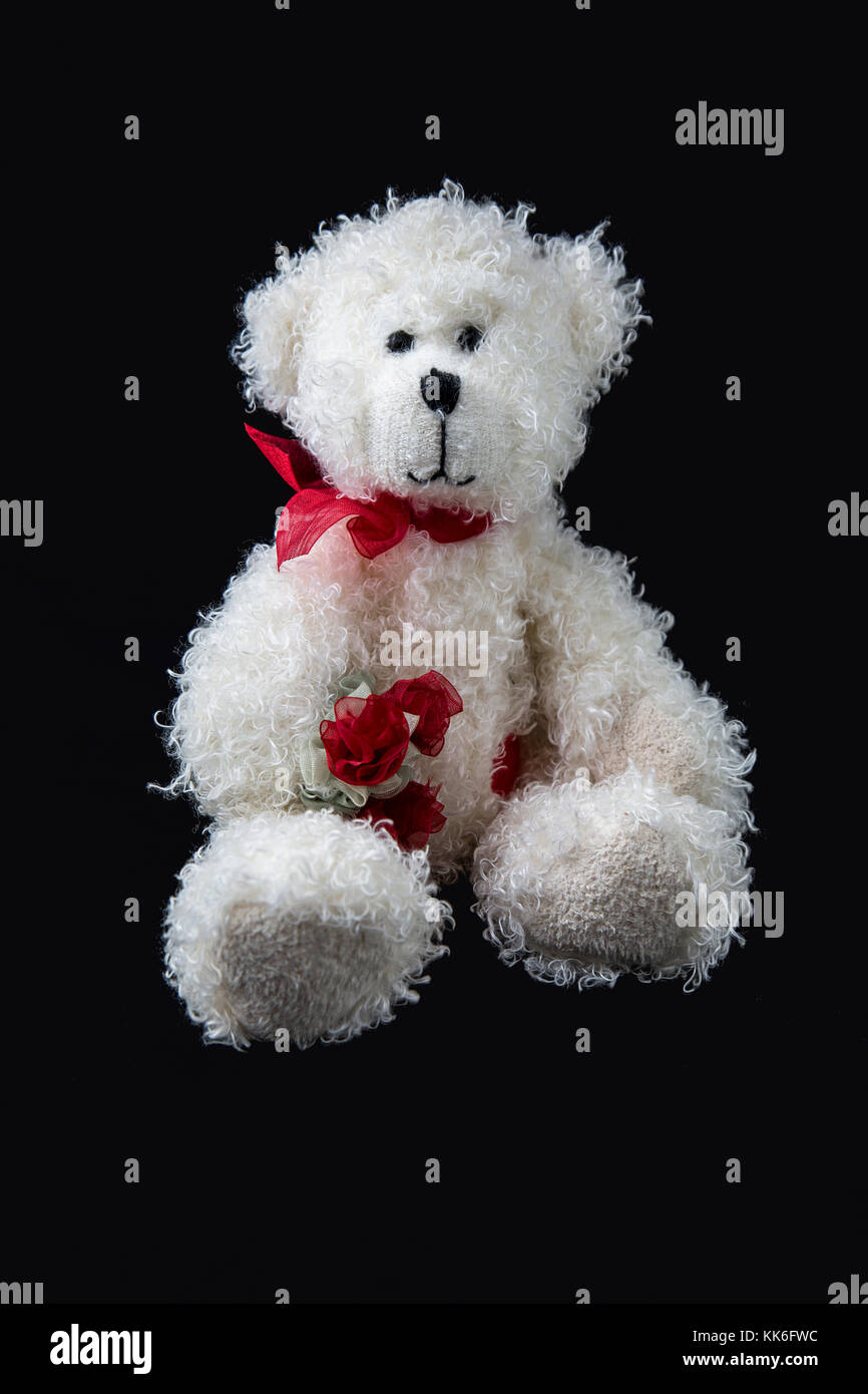 Lindo Oso de Teddy Blanco - sosteniendo rosas. Fotografiado en una caja de  luz Fotografía de stock - Alamy