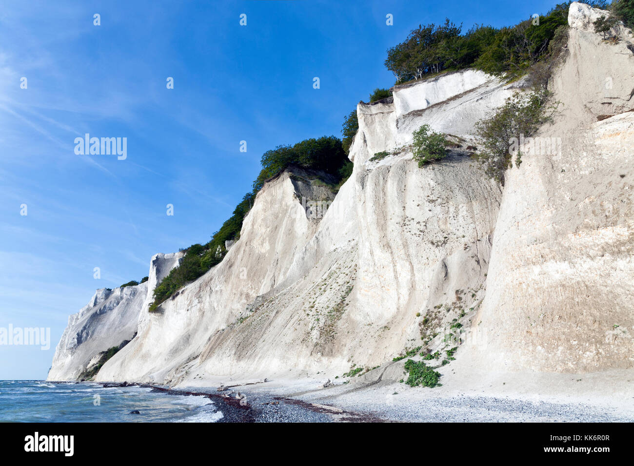 Møns Klint, los escarpados acantilados de tiza hasta 120 m sobre el mar en la zona oriental de la costa del Mar Báltico de la isla Møn sudeste de Selandia, Dinamarca, Møn o Moen. Foto de stock