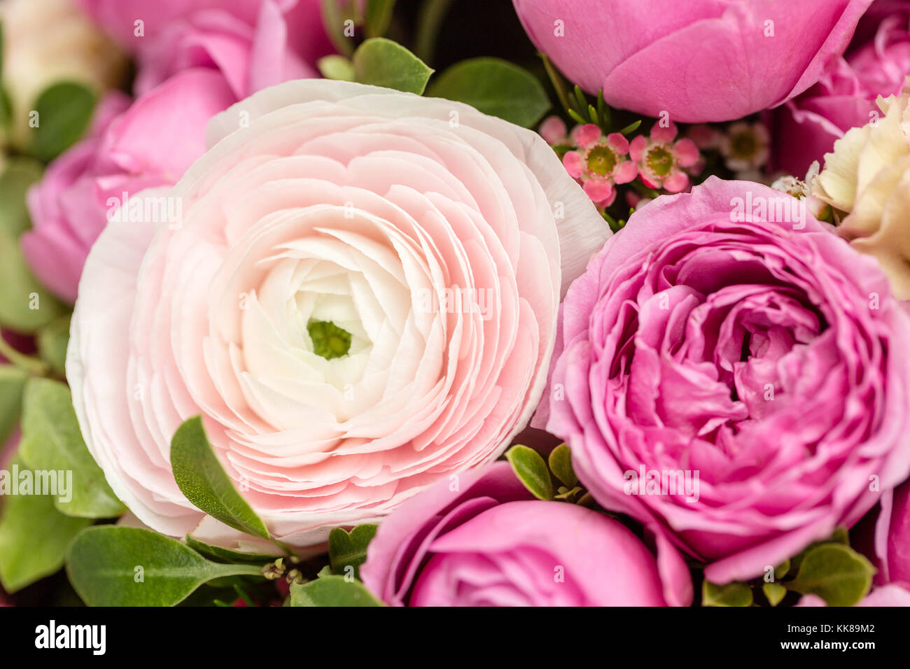 Fondo de coloridas flores. La labor de la floristería en una tienda de