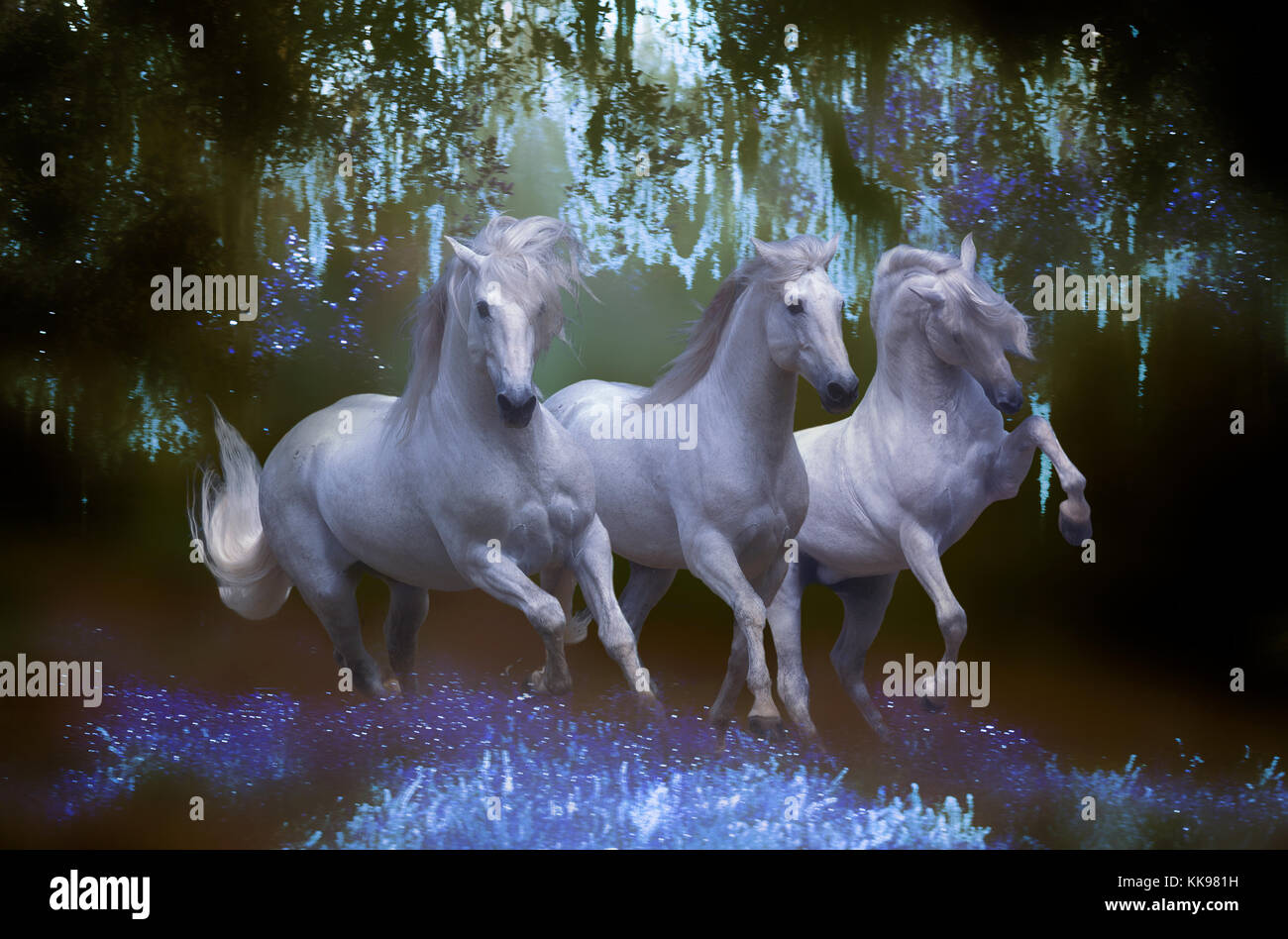 Tres caballos blancos místico encabritado a través de una tierra mágica. Foto de stock