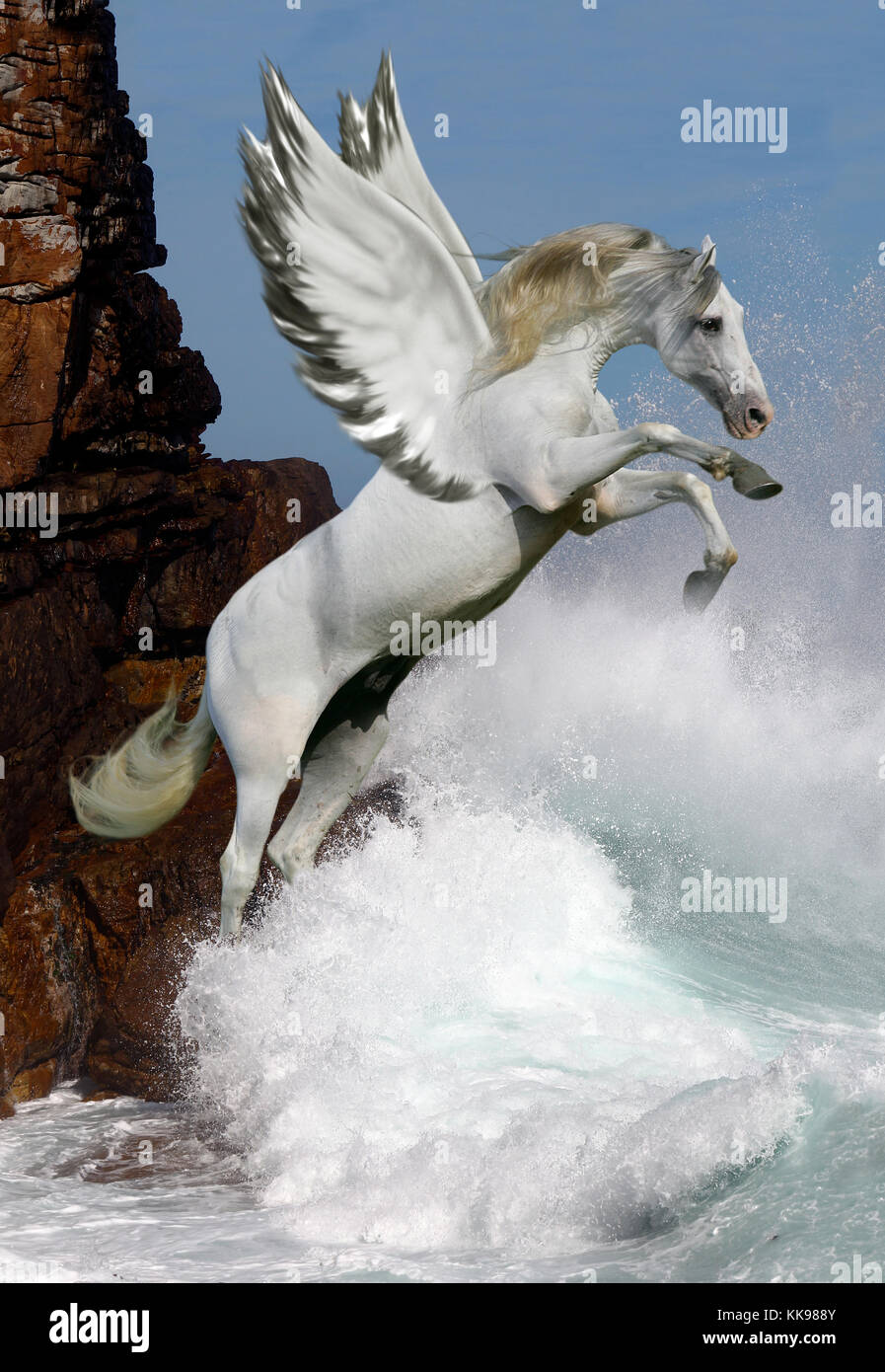 Un hermoso blanco caballo alado saltos desde las rocas sobre olas que levanta el vuelo. Foto de stock