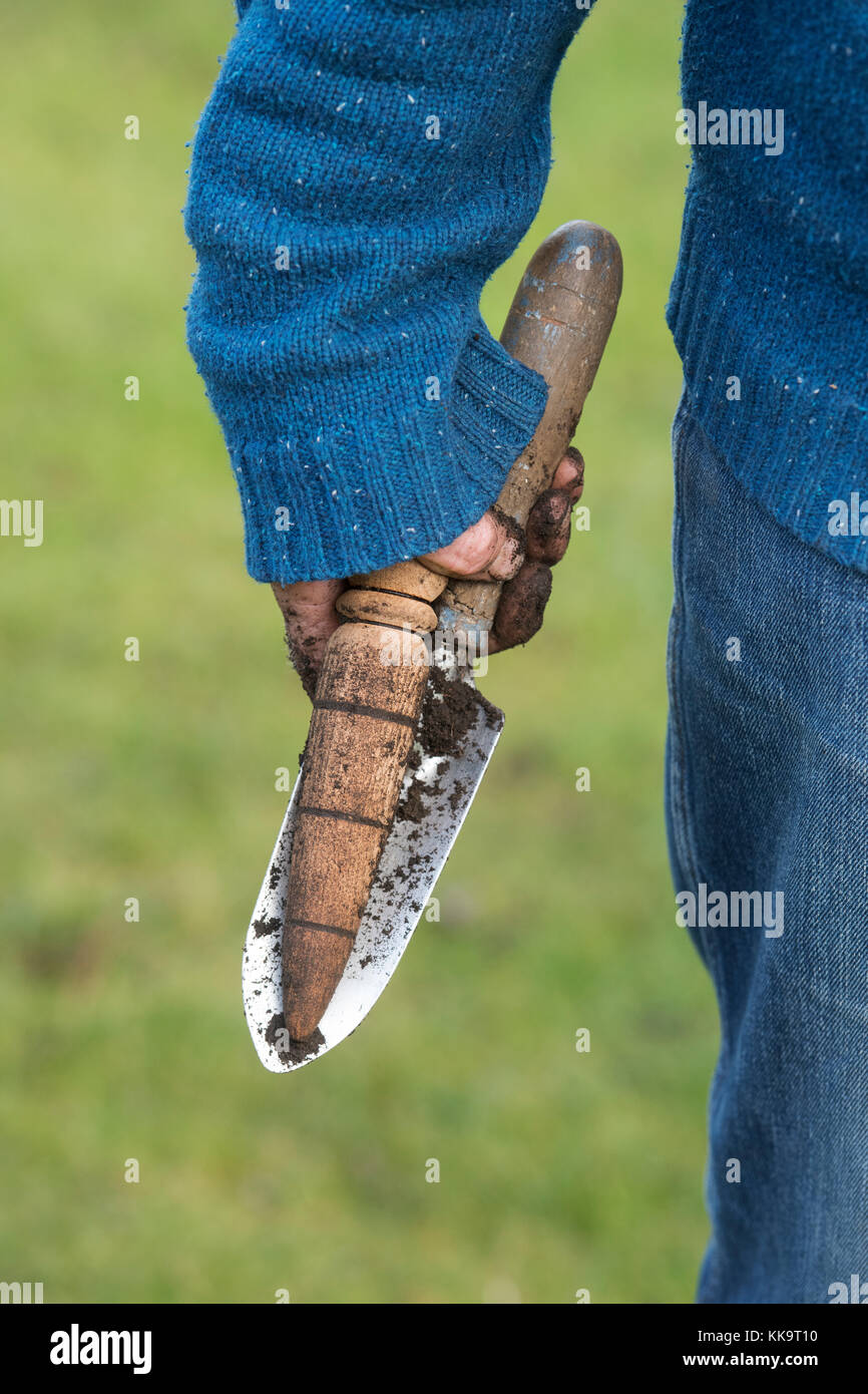 Jardineros mano sujetando un dibber de madera y una paleta de mano de metal después de plantar la bombilla tulip a finales de otoño. UK Foto de stock