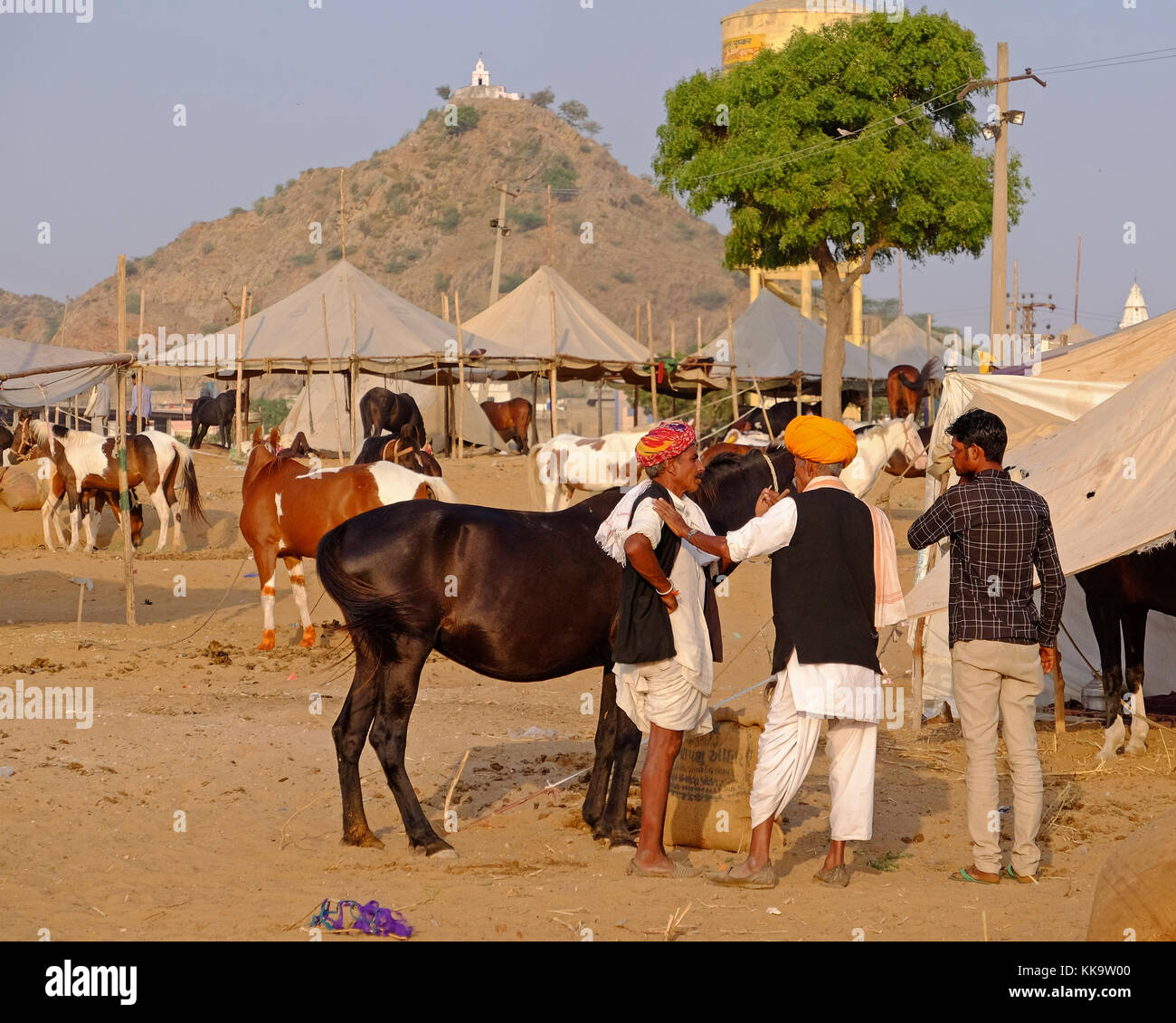 Los comerciantes de caballos en la Feria de Pushkar, Rajastán, India Foto de stock