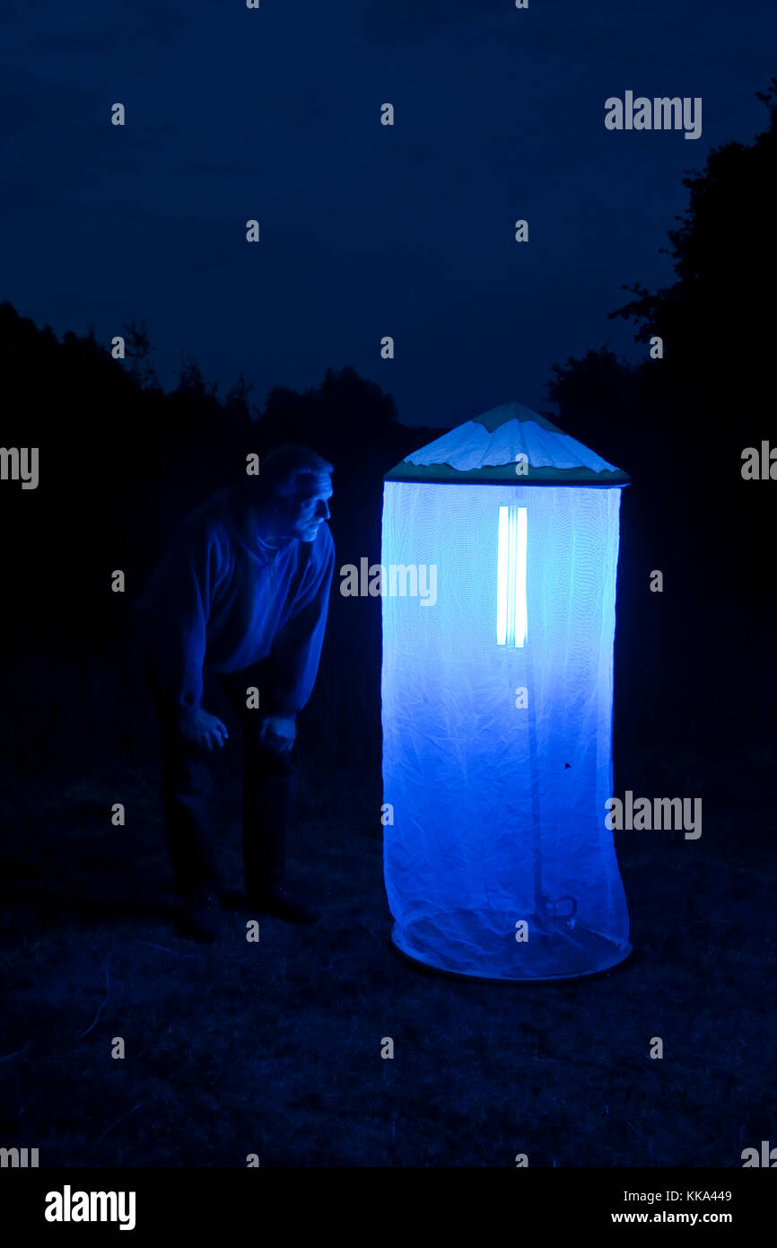 Nachts aufgebautes leuchtzelt lockt nacht-schmetterlinge und andere insekten leuchten kartierung un,,,,, forschung untersuchung forschen, entomologie, Foto de stock