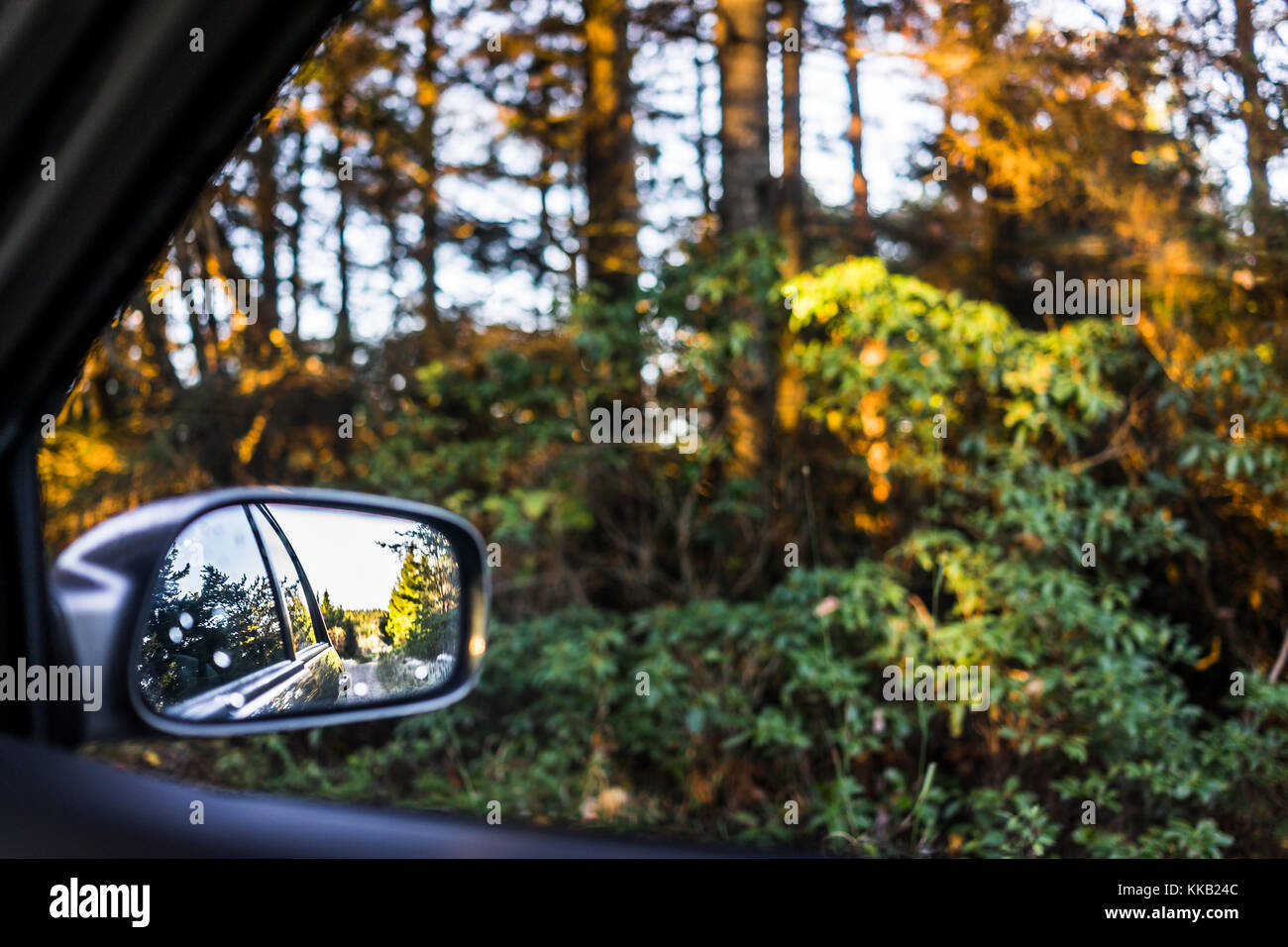 Espejo lateral del vehículo aparcado el coche en la carretera de invierno por bosques en otoño invierno durante el amanecer con la reflexión, la luz del sol Foto de stock