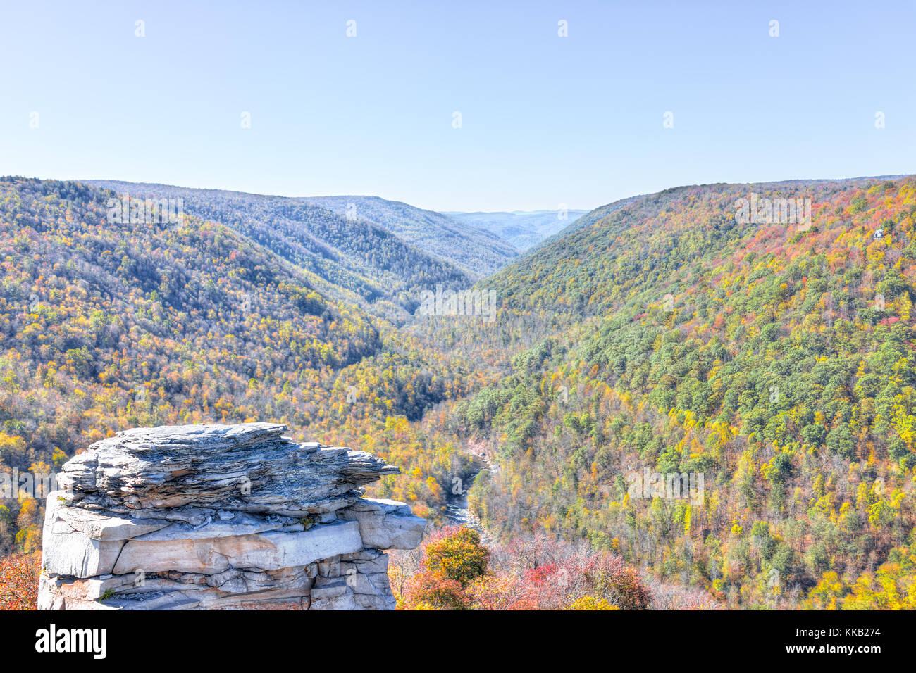 Vista del Valle de Canaan montañas en Blackwater Falls State Park en West Virginia durante la temporada de otoño con el otoño colorido follaje amarillo sobre árboles, rock Foto de stock