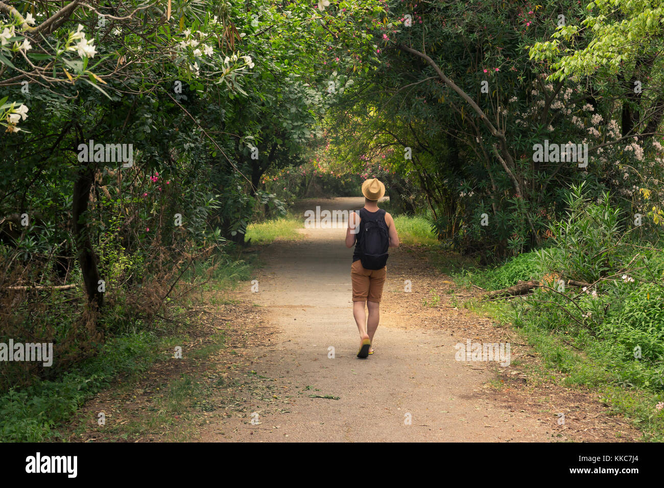 Un hombre joven, vista trasera, caminar al aire libre pensamiento bosque, asfalto, vacaciones. Foto de stock