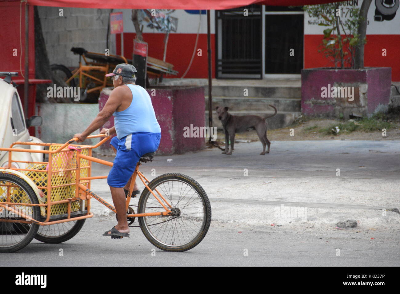 Hombre en triciclo trike en Progreso, Yucatán, México Peninsular Fotografía  de stock - Alamy