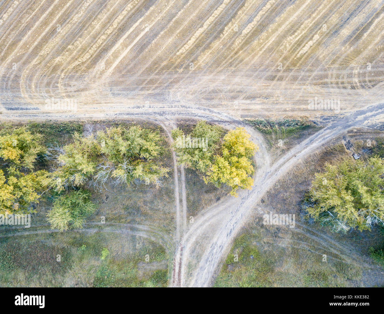 Vista aérea de grandes campos de trigo después de la cosecha Foto de stock