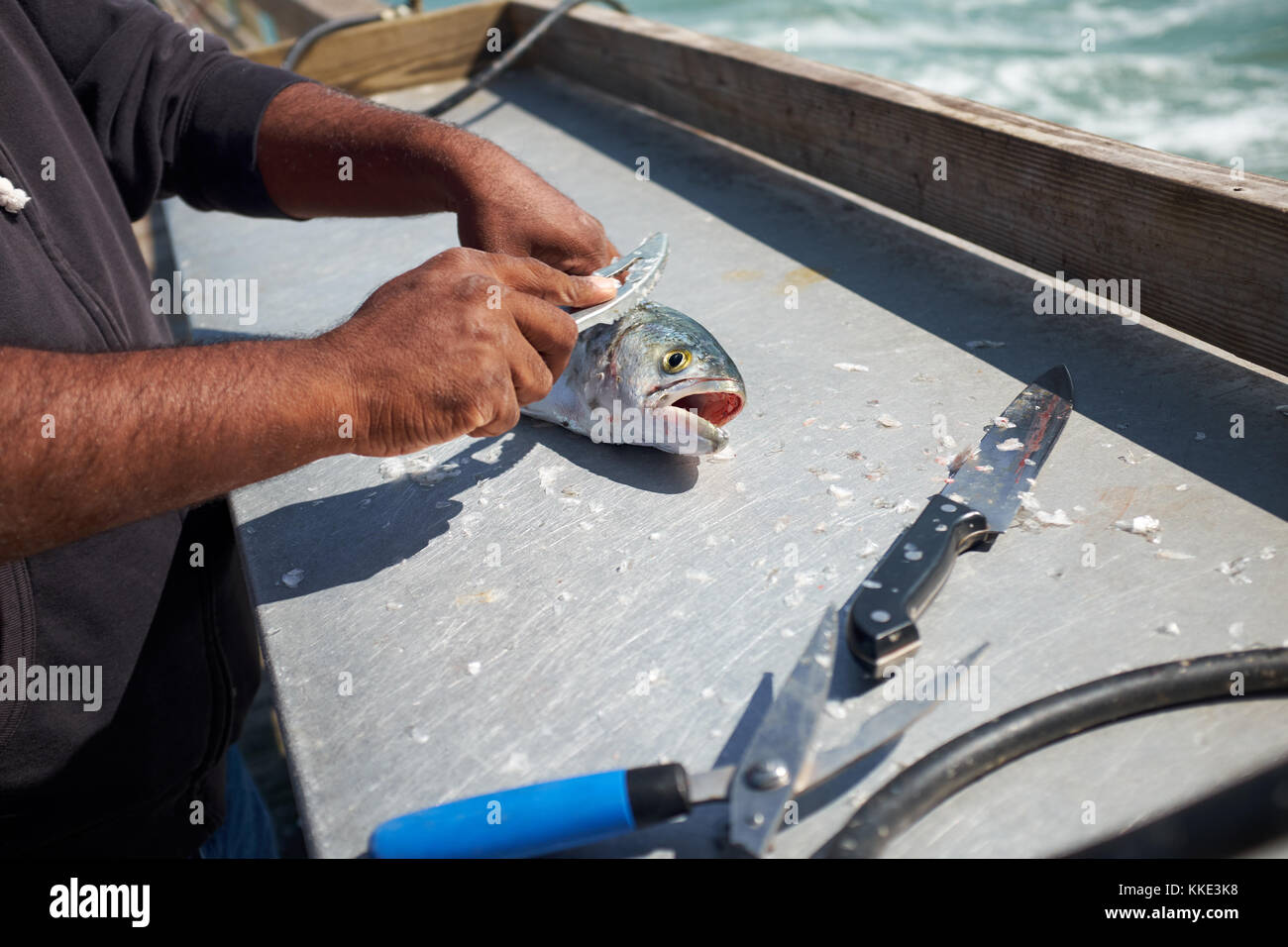 Pescador limpiando un pescado en un barco con un cuchillo afilado para raspar las escamas de la piel Foto de stock