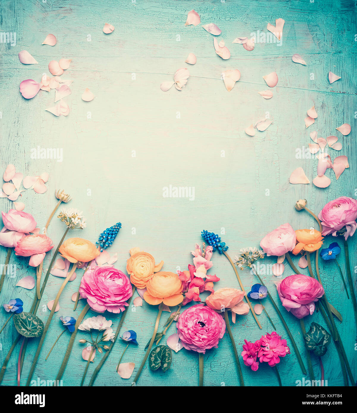 Marco floral con preciosas flores y pétalos en tonos pastel retro vintage  fondo turquesa, vista superior Fotografía de stock - Alamy