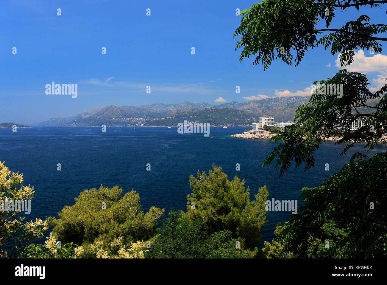 Verano vista sobre la playa de la bahía de Lapad, Lapad, Dubrovnik, ciudad de la costa dálmata, Mar Adriático, Croacia, Europa. Foto de stock