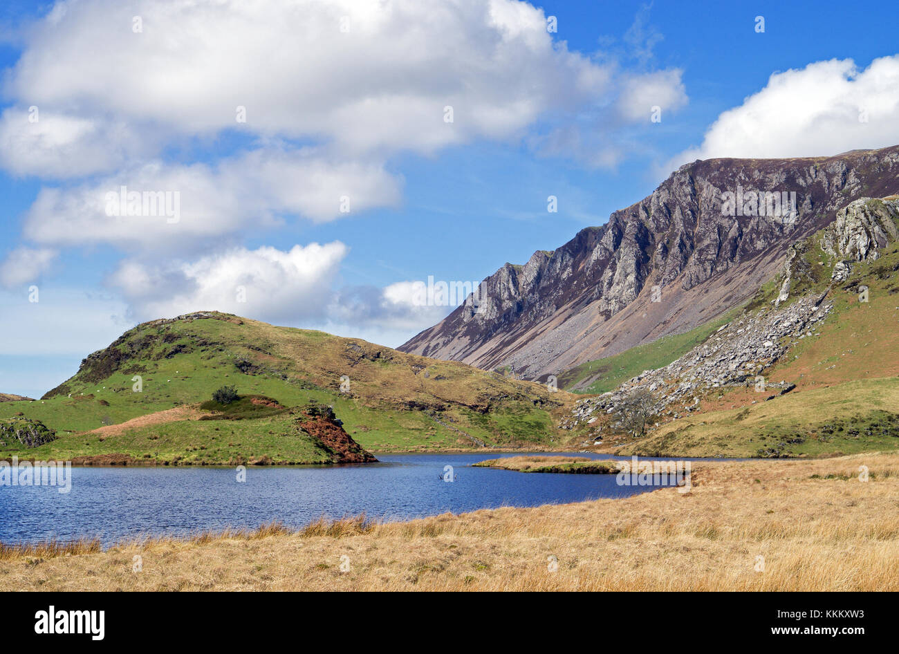 Lago bera fotografías e imágenes de alta resolución - Alamy