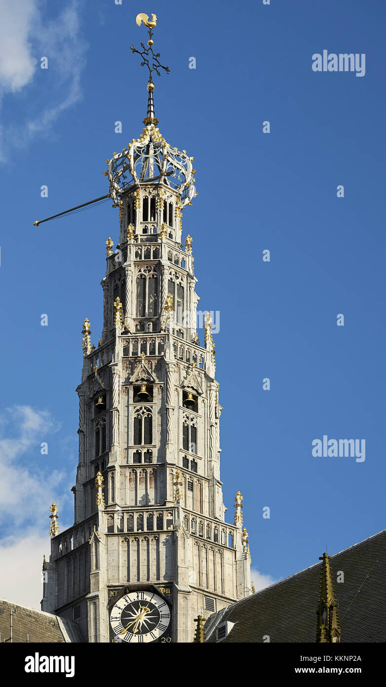 La gran iglesia de San Bavo, o la torre de la iglesia, Haarlem, Holanda Septentrional, Holanda Foto de stock