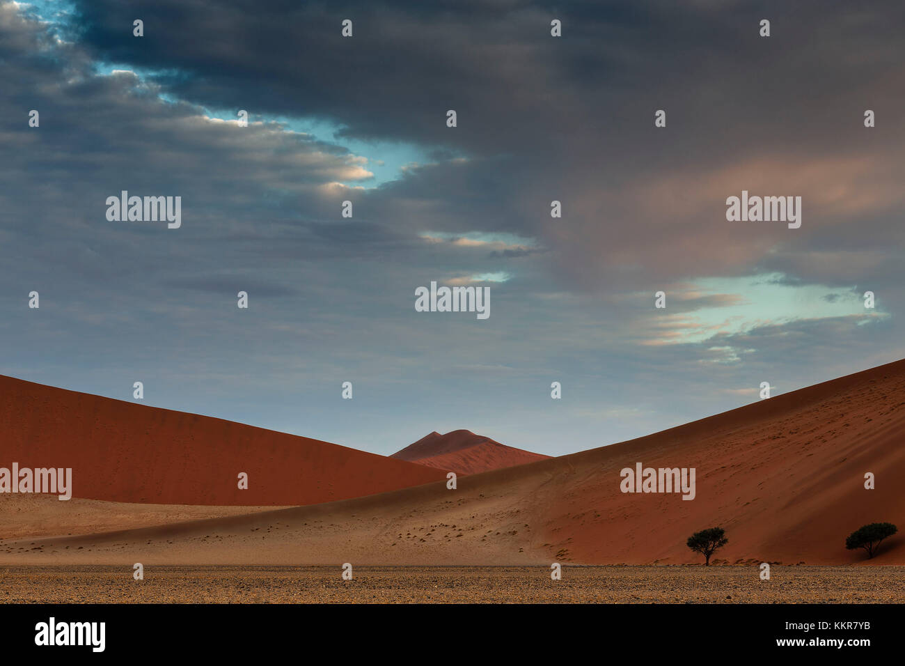 La Duna de la puesta del sol cerca de 45,Namib Naukluft, parque nacional de Namibia, África Foto de stock