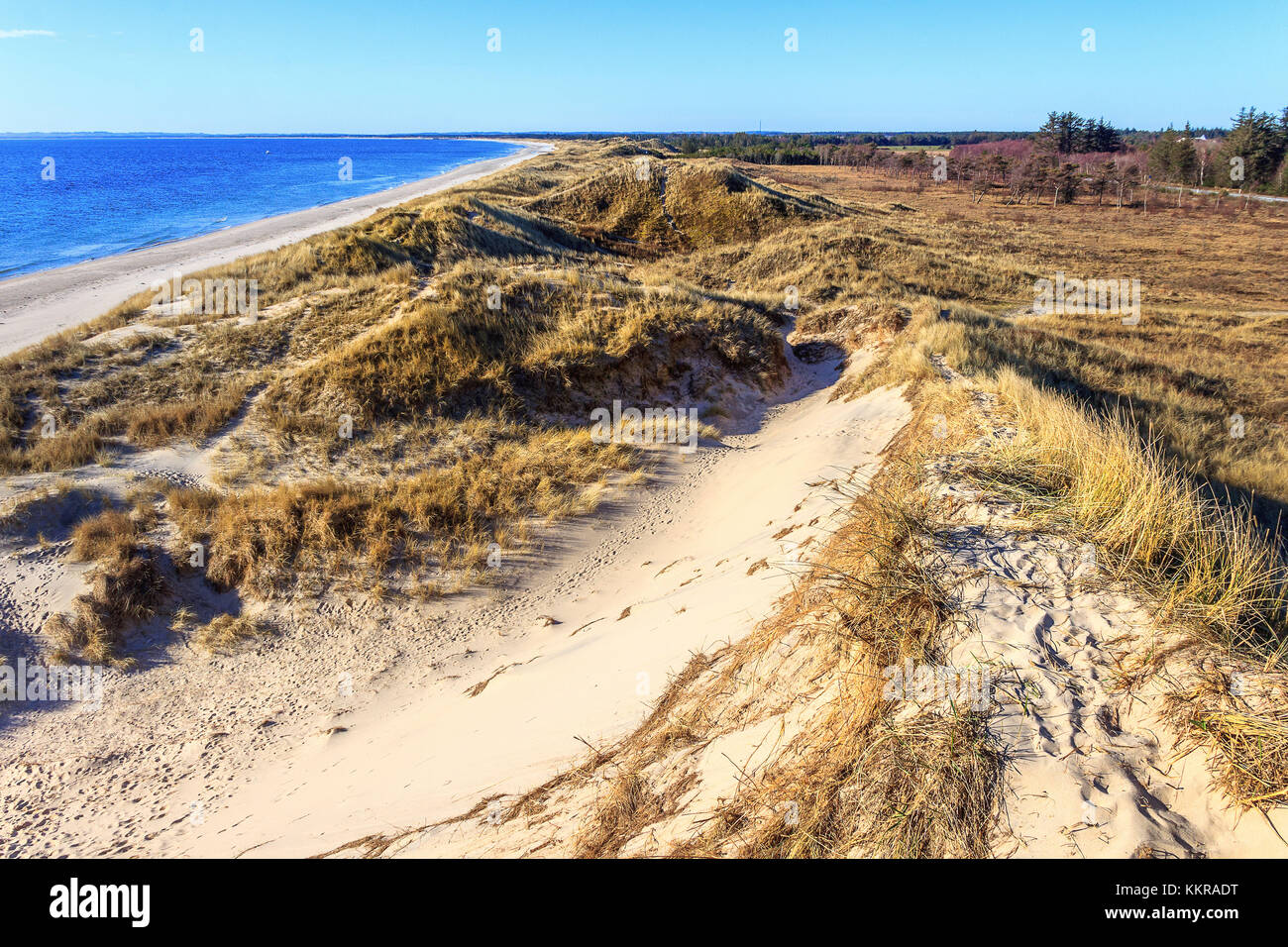 Las dunas cerca bunken son maravillosos, la naturaleza salvaje Foto de stock