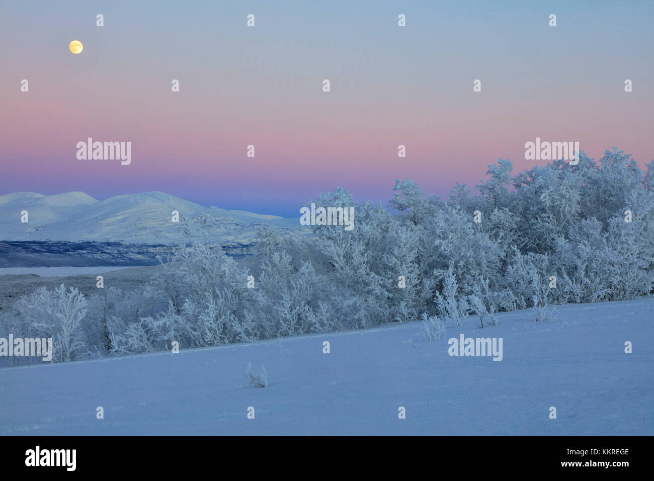 Panorámica de amanecer en el paisaje nevado, bjorkliden, abisko, municipio de Kiruna, el condado de Norrbotten, Laponia, Suecia Foto de stock