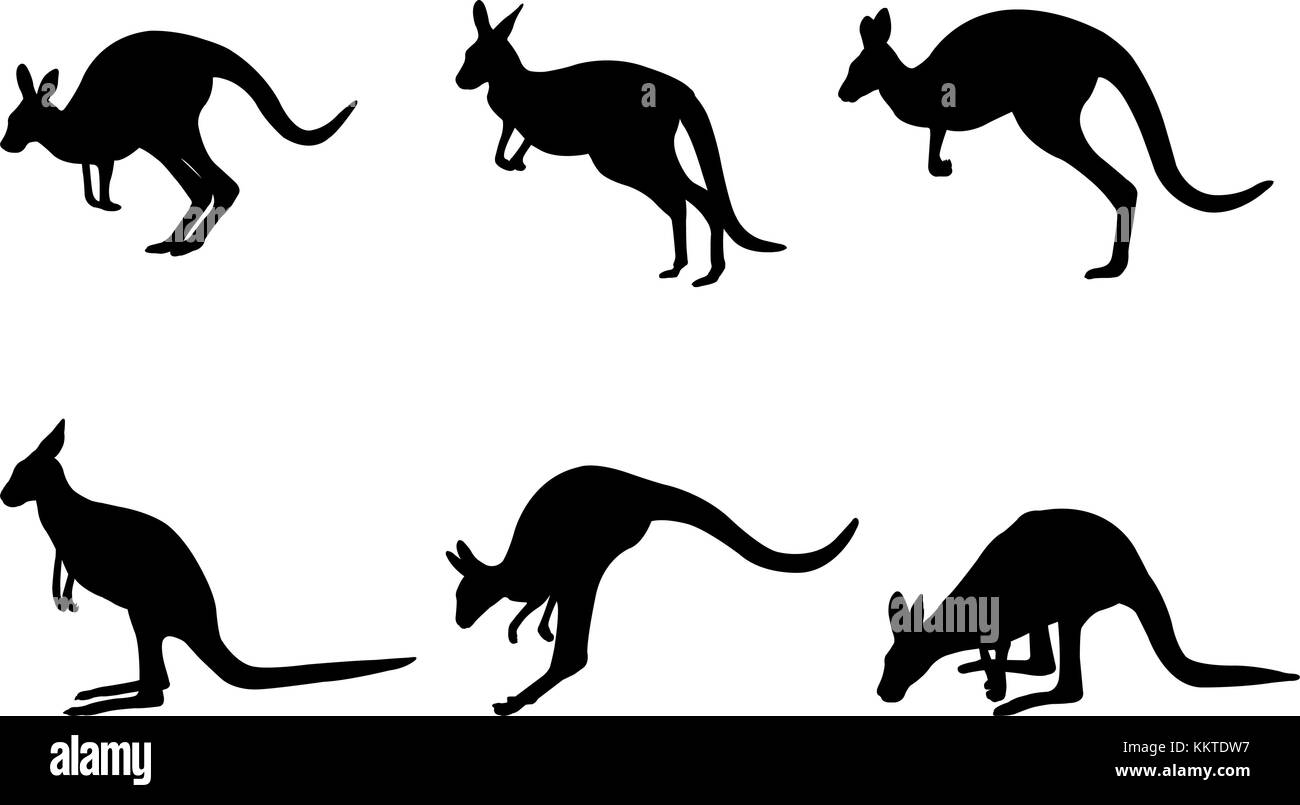 Kangaroo siluetas colección - vector Ilustración del Vector