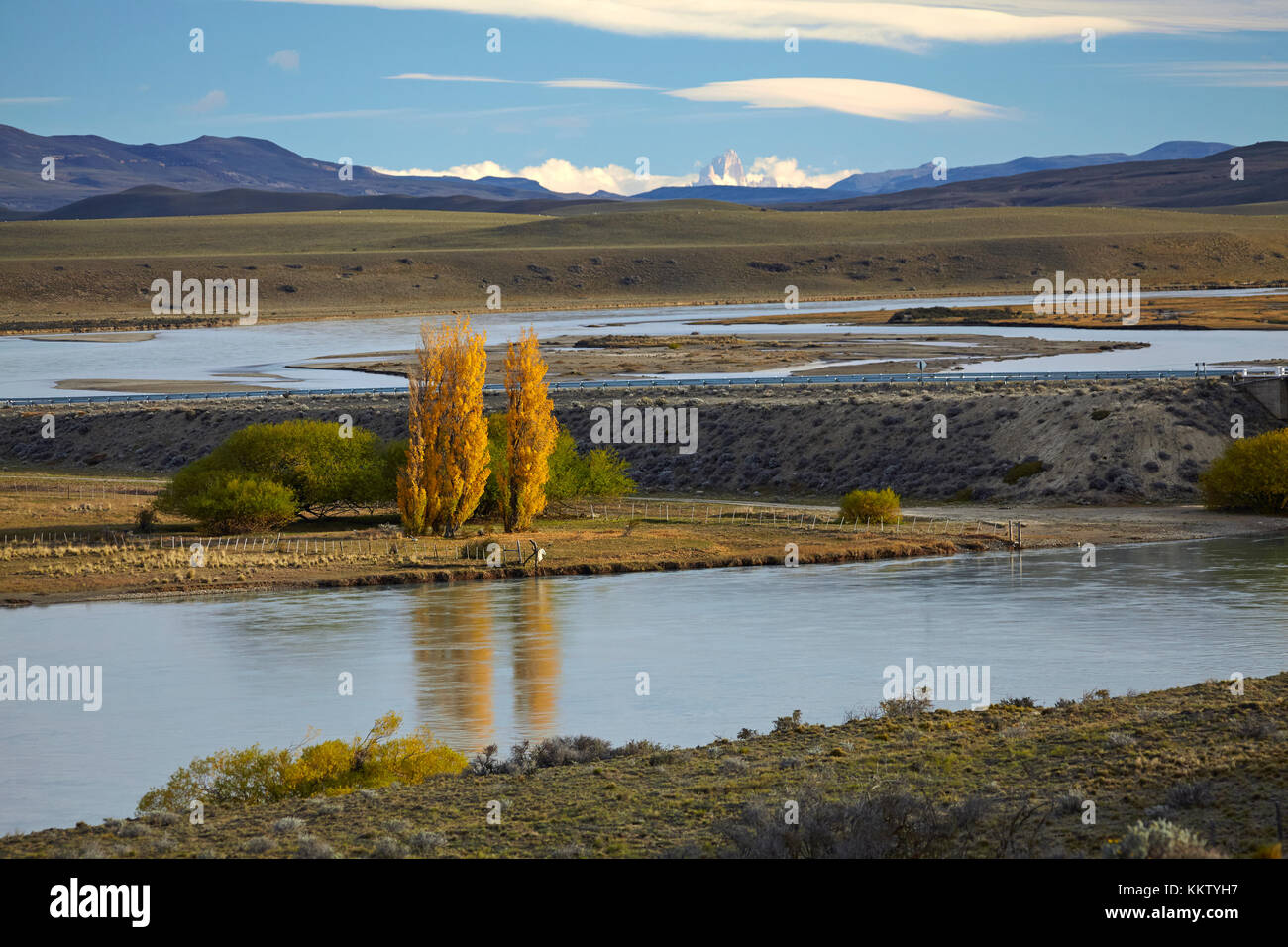 Álamos y río La Leona, Patagonia, Argentina, Sudamérica Foto de stock