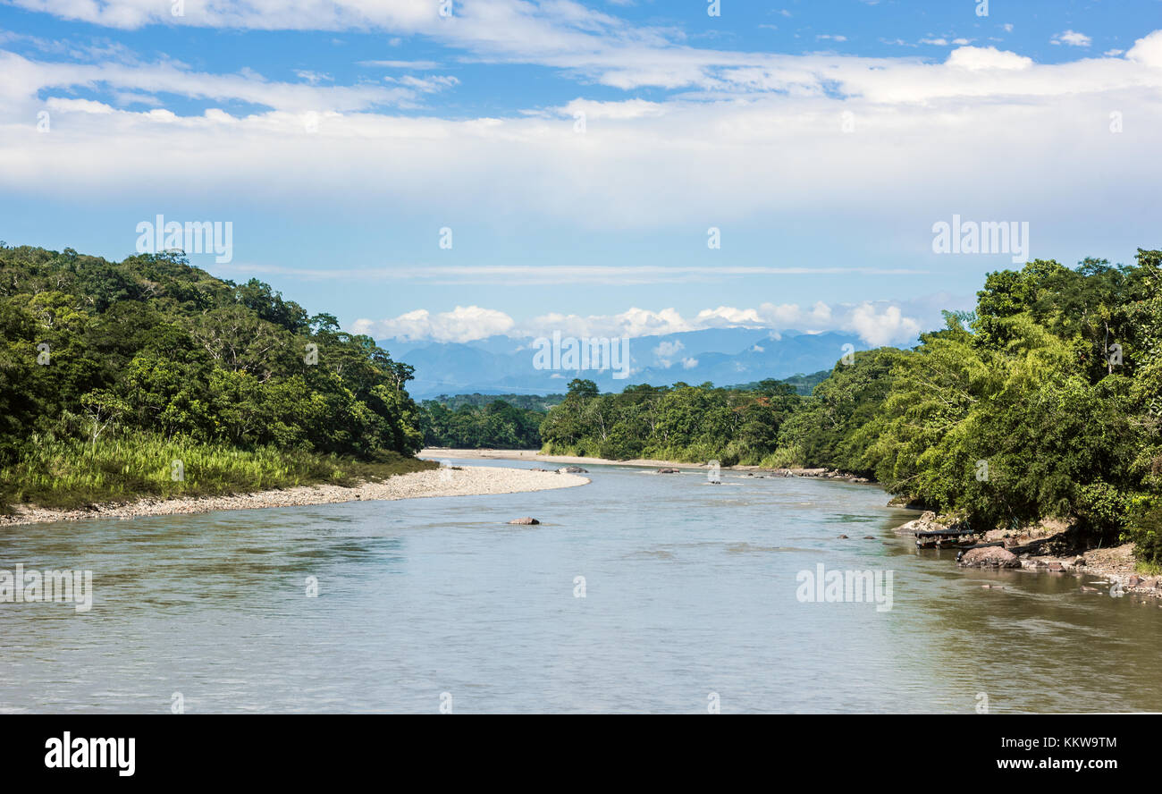 Selva Amazónica. río Napo la provincia de Napo, Ecuador. Foto de stock