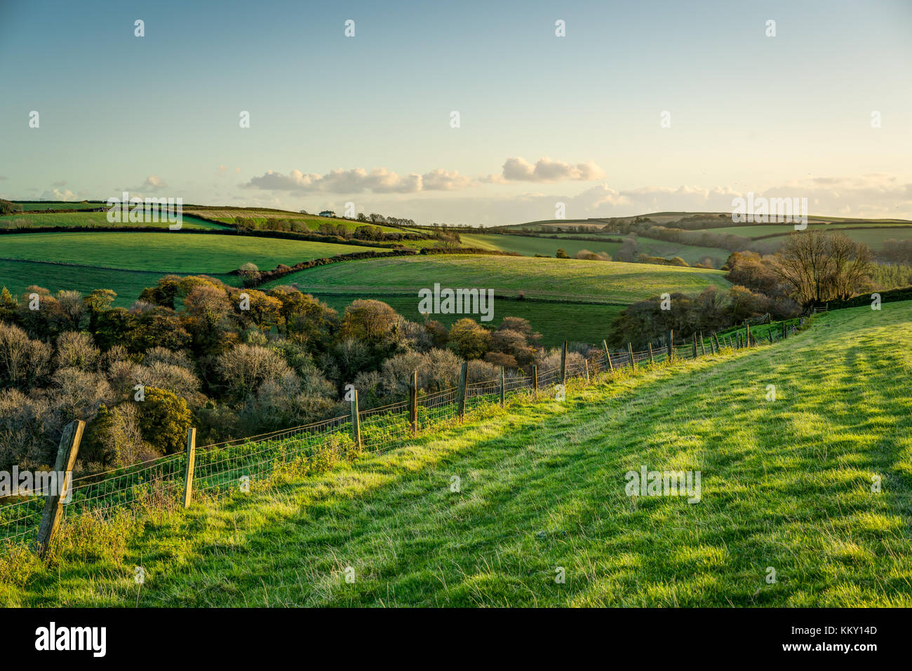 Una escena otoñal a través de rolling cornish cultivables, una valla teniendo su ojo a través de campos de hierba y árboles hacia la costa en el sol de la tarde. Foto de stock
