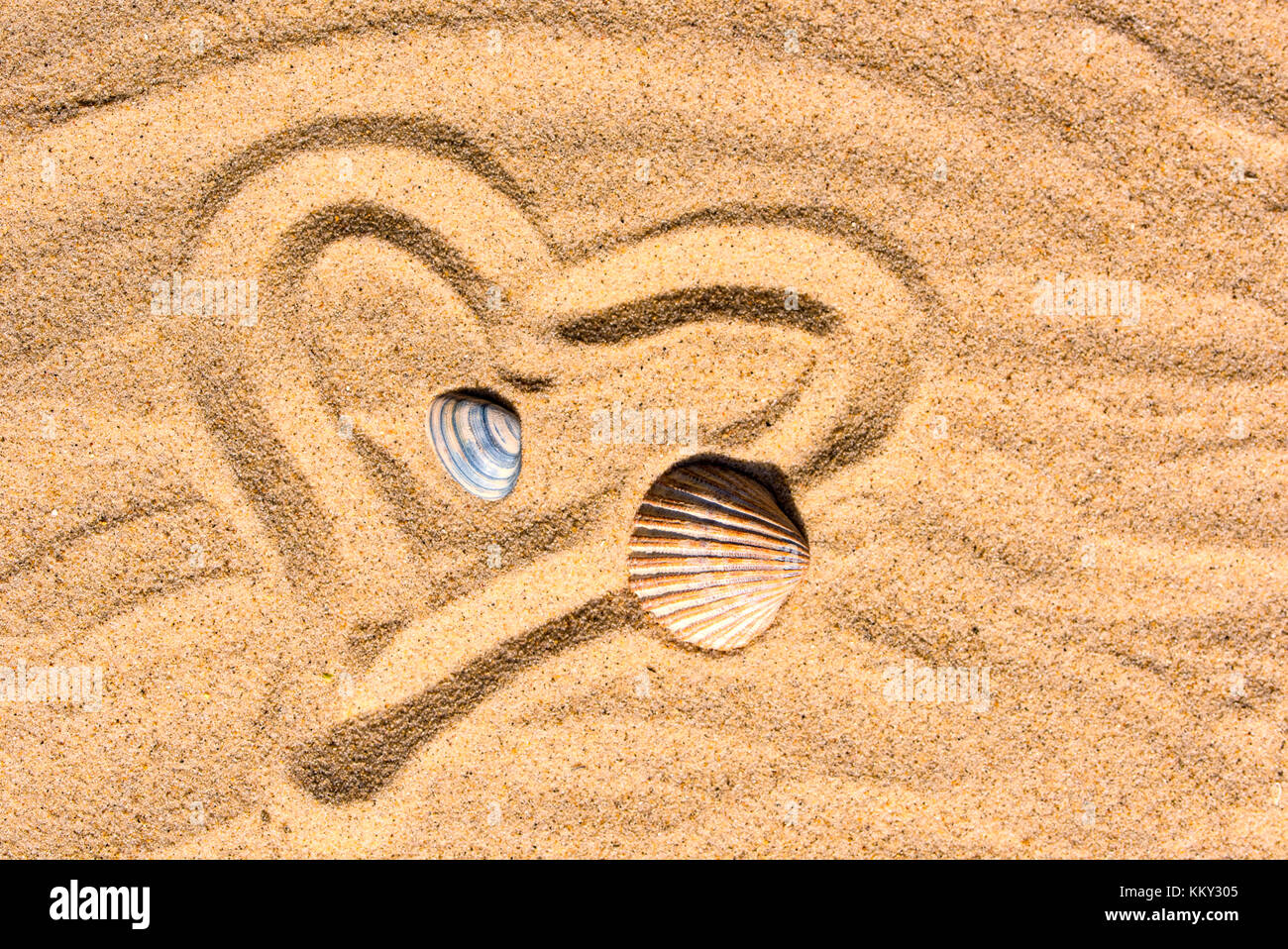 Corazón y conchas en la arena Foto de stock