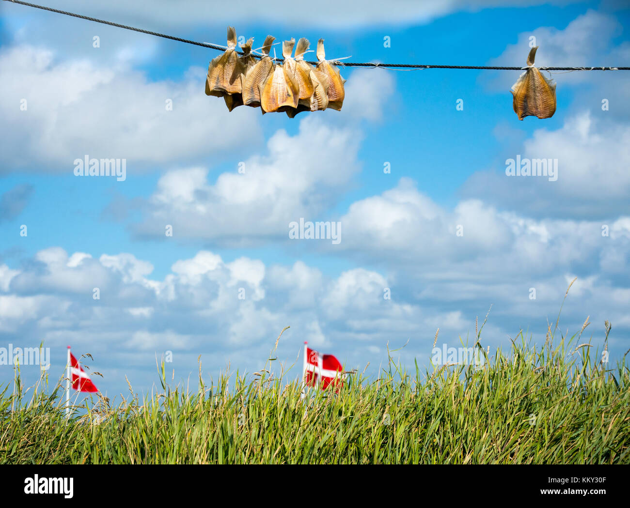 Solla secados al sol en una línea con banderas danesas Foto de stock