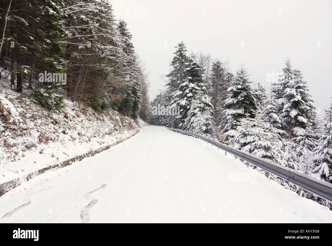 Un camino cubierto de nieve en las montañas de los Vosgos (Francia) a principios de invierno, de noviembre de 2017. Foto de stock