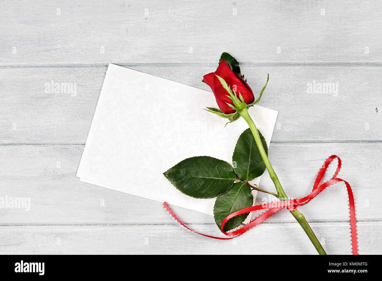 Hermoso Single Long Stem Rose rojo con tarjeta en blanco y habitación para copiar el espacio. Foto de stock