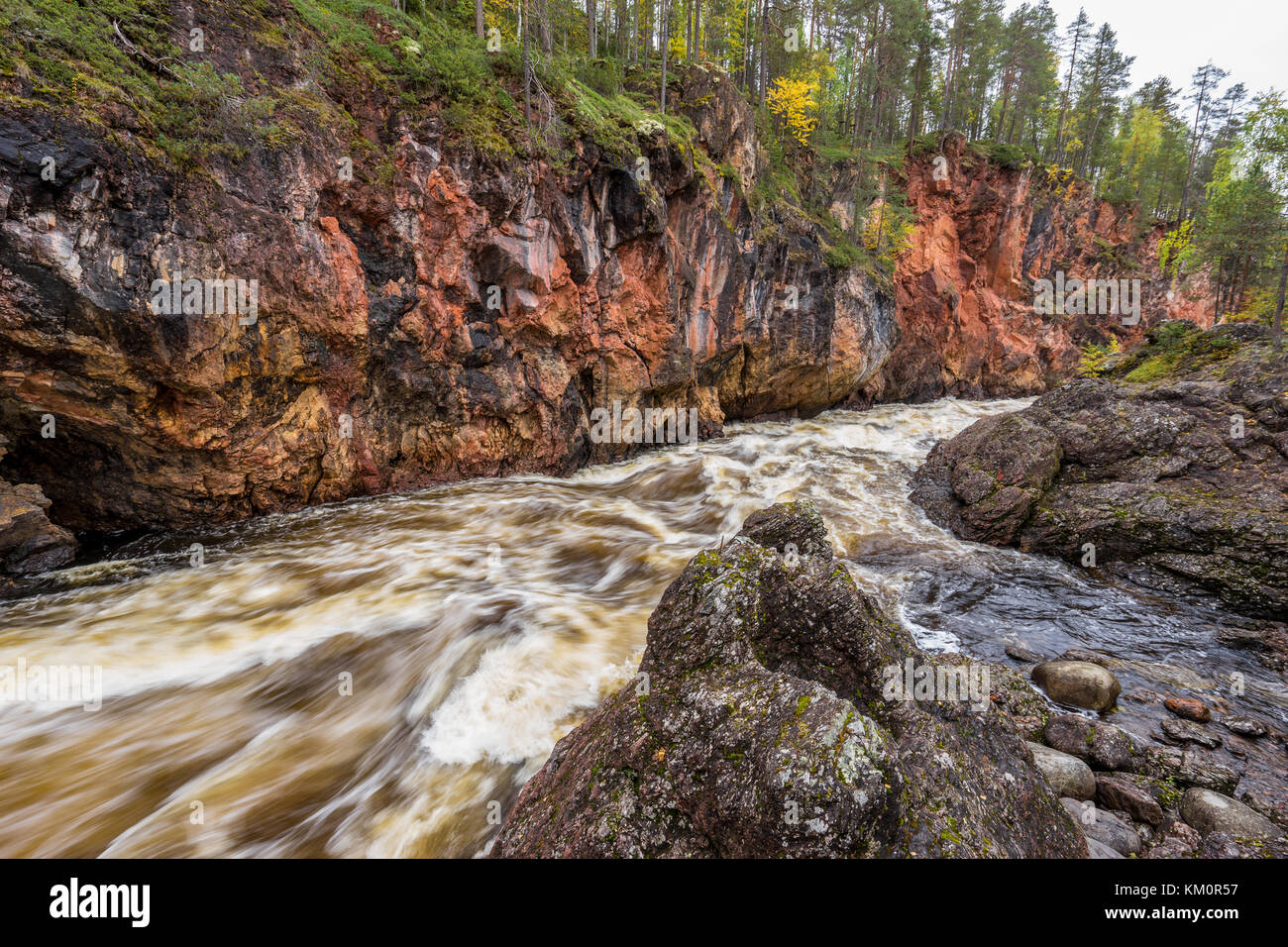 Acantilado rojo, muro de piedra, bosque, cascada y río salvaje ver en otoño. Colores de otoño, ruska tiempo en Kiutaköngäs. Parte de Karhunkierros Trail. Oulanka Foto de stock