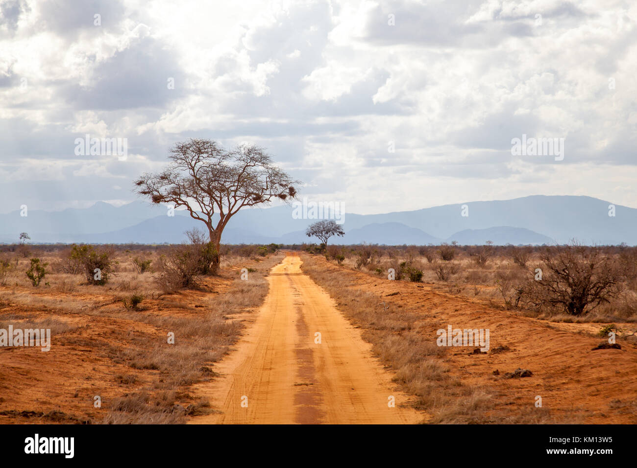 Árboles por la carretera, escenografía de Kenya, con colinas en el lejano Foto de stock