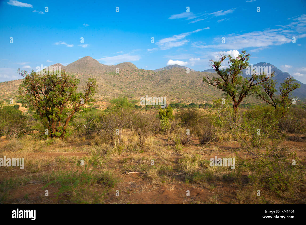 Paisaje desde Kenya, colinas y árboles con un cielo azul Foto de stock